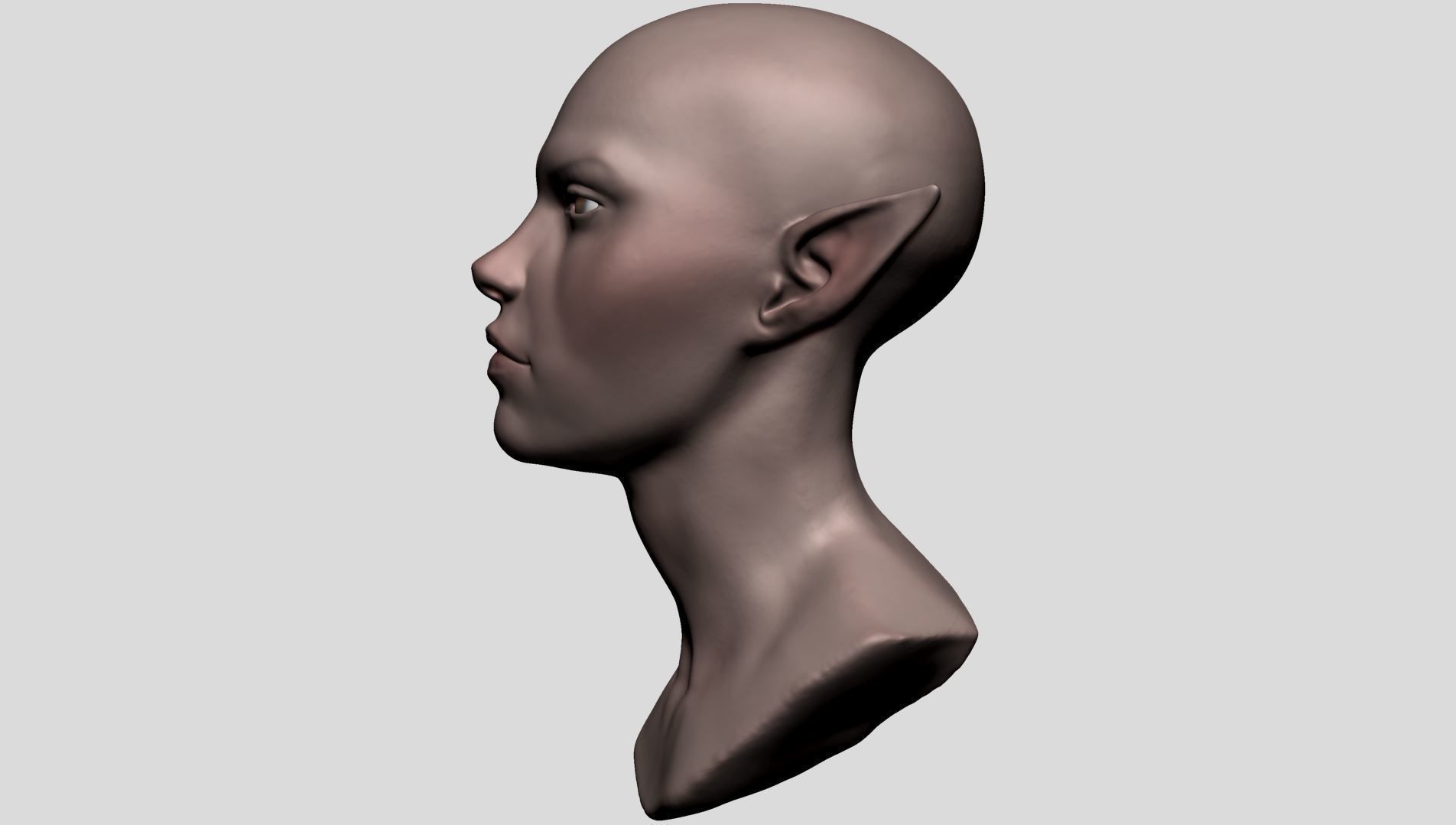 Elf Head v2 3D model_6