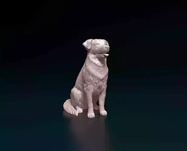 Labrador x Collie 3D print model