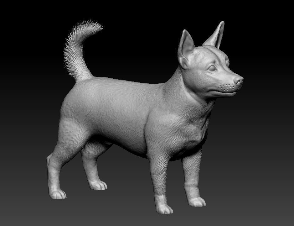 Lancashire Heeler 3D print model_11