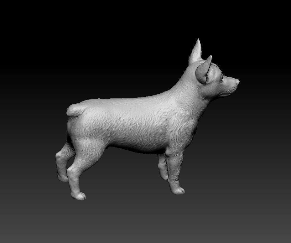 Lancashire Heeler 3D print model_10