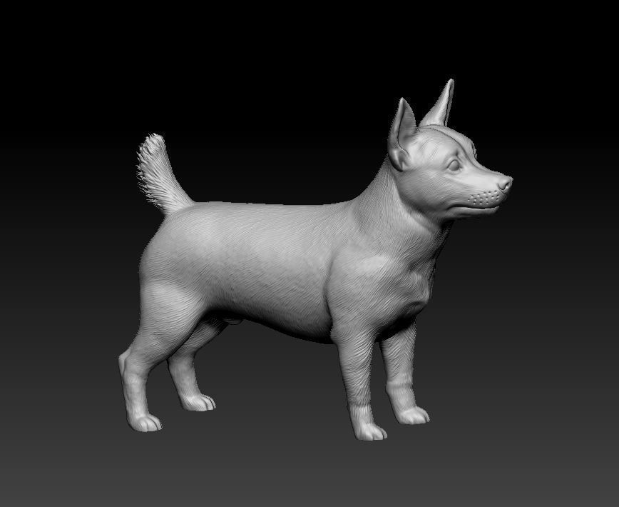 Lancashire Heeler 3D print model_9