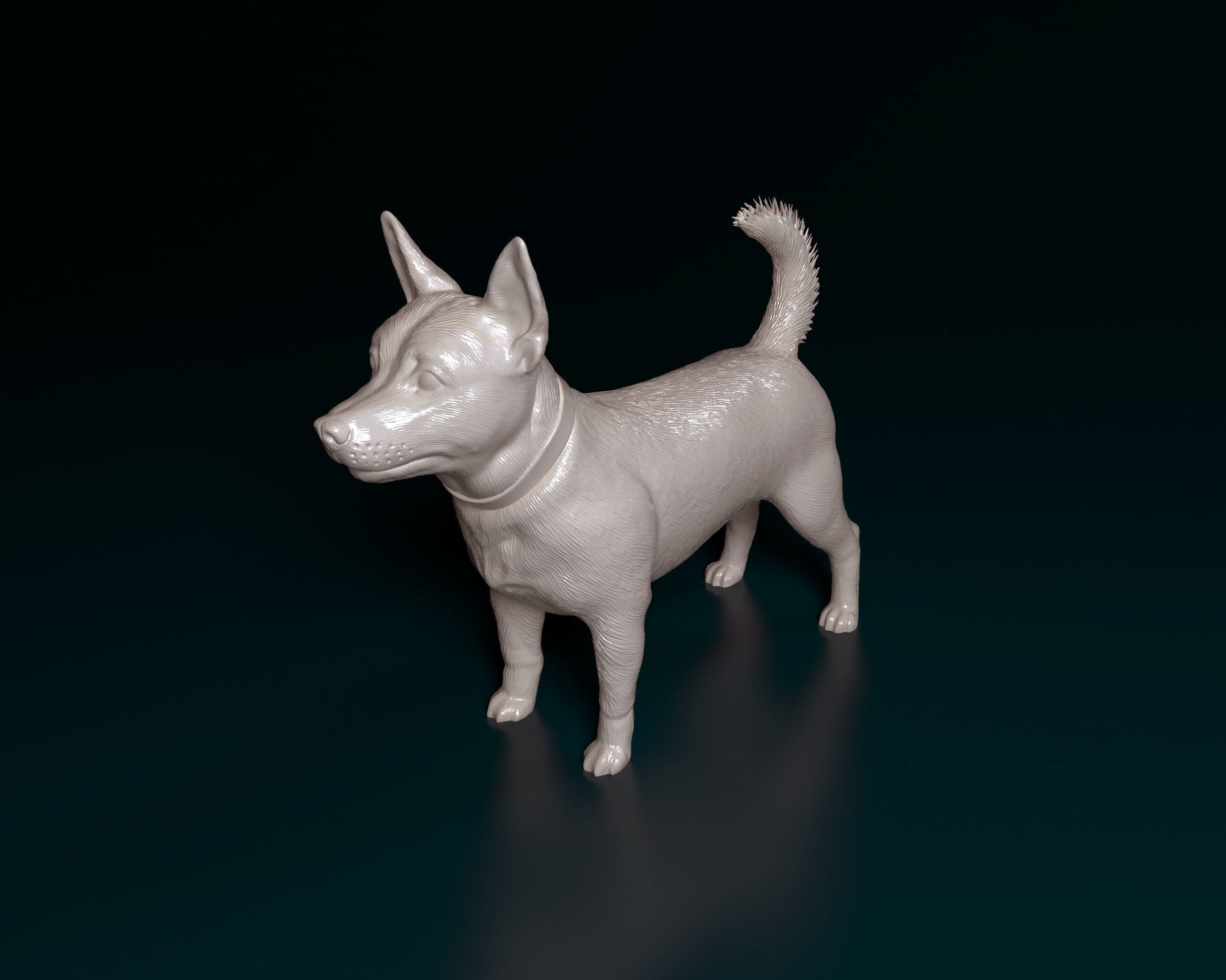 Lancashire Heeler 3D print model_6