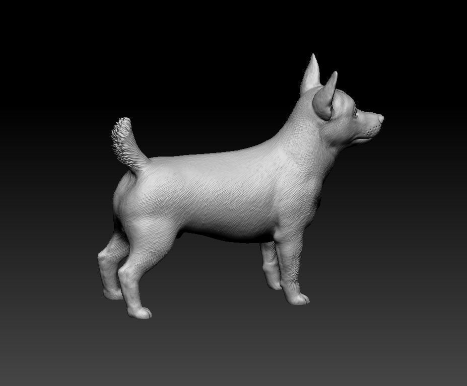 Lancashire Heeler 3D print model_12