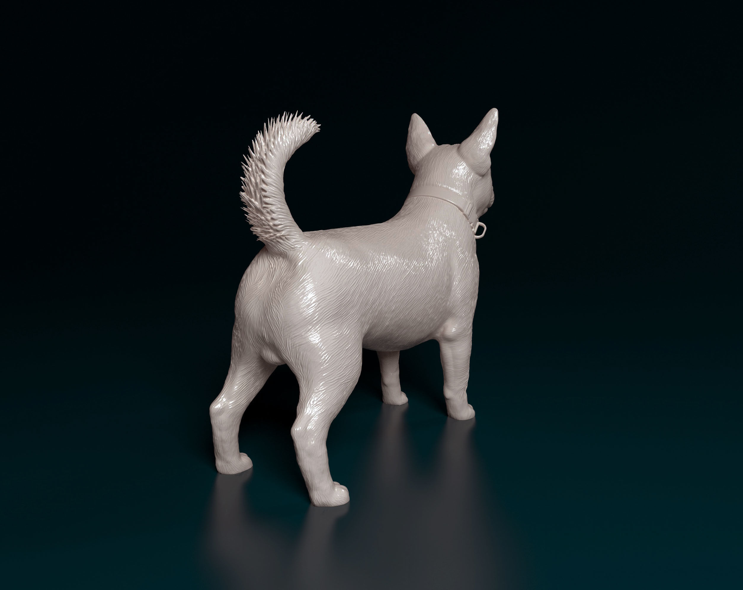 Lancashire Heeler 3D print model_3