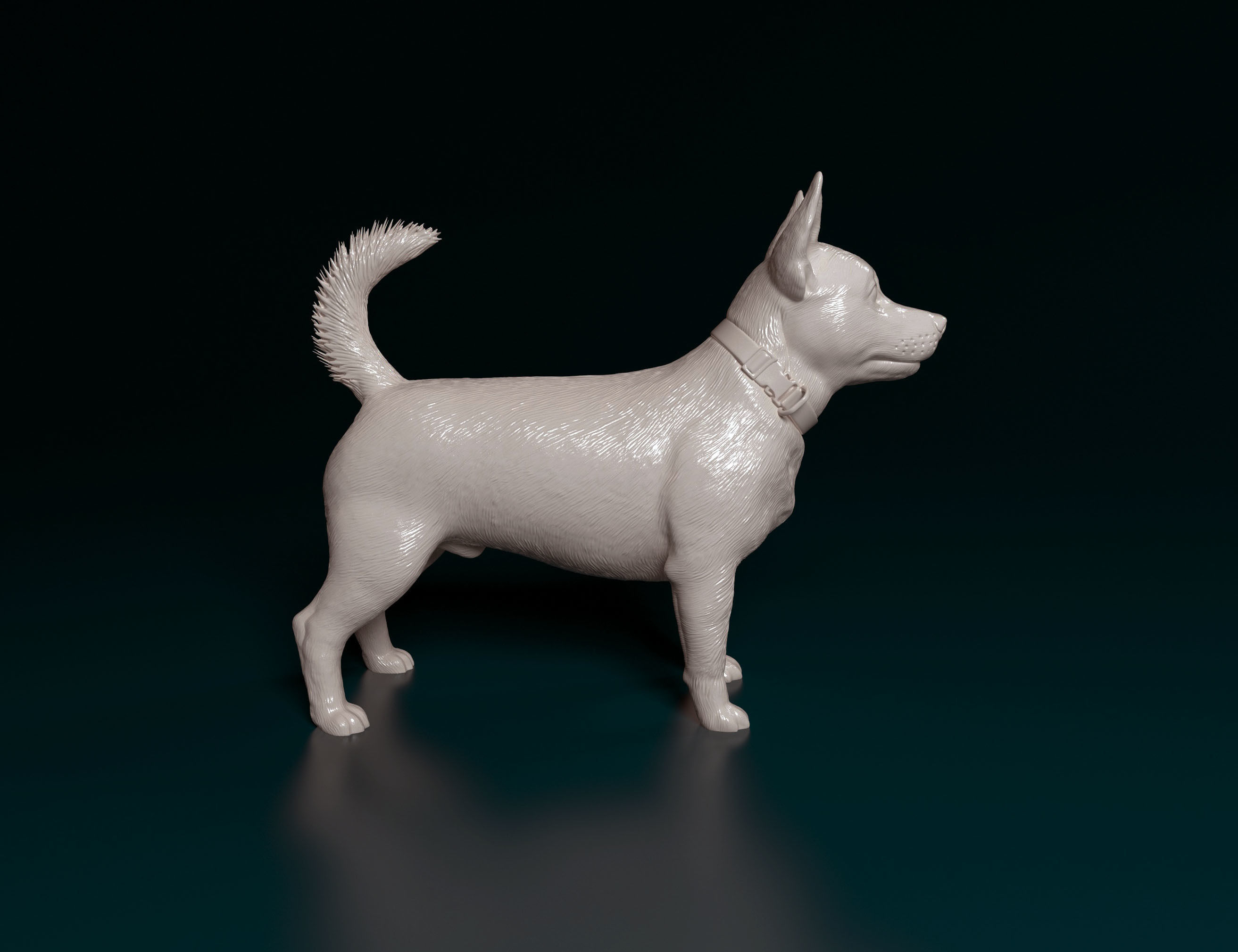 Lancashire Heeler 3D print model_1