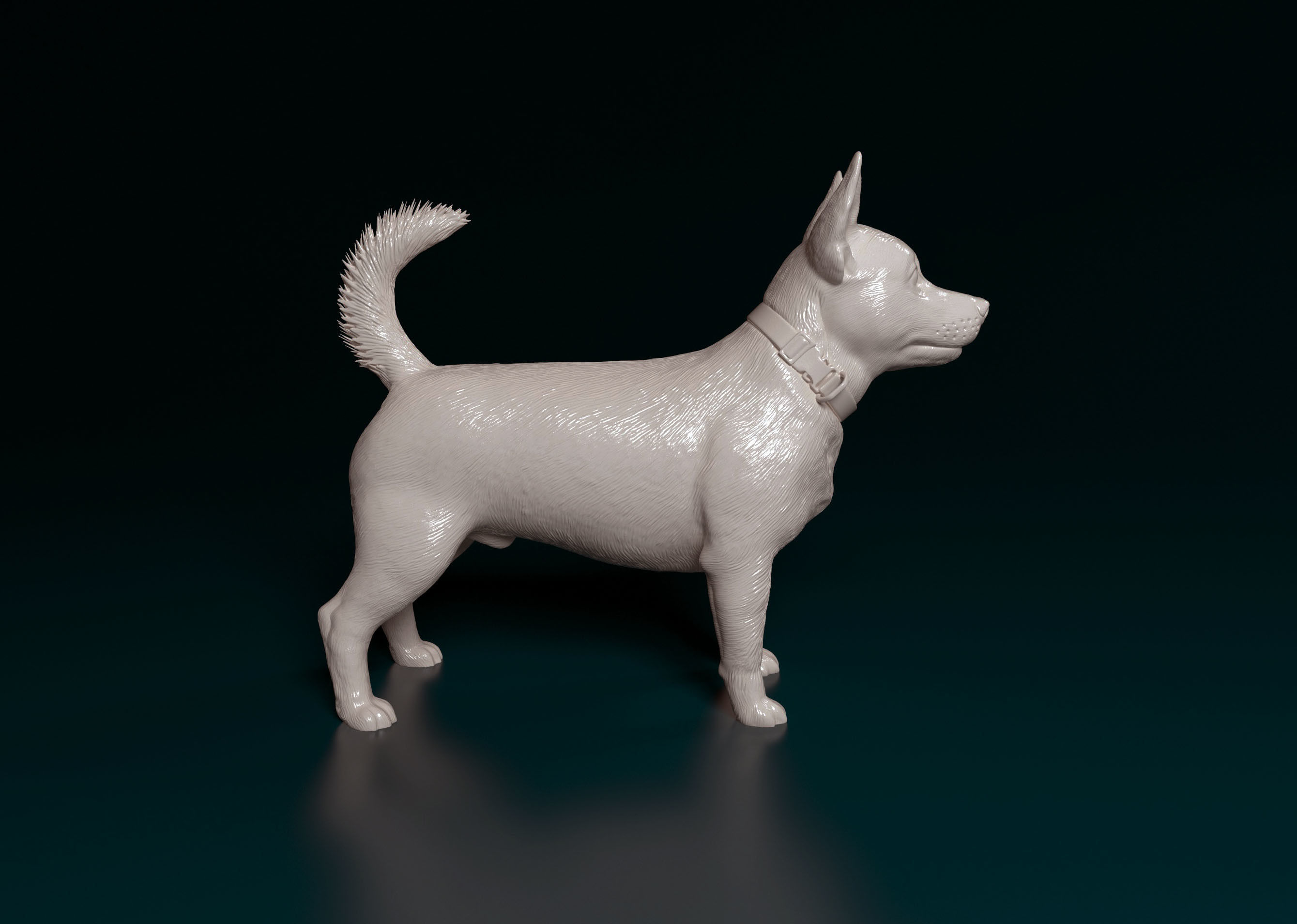 Lancashire Heeler 3D print model_2