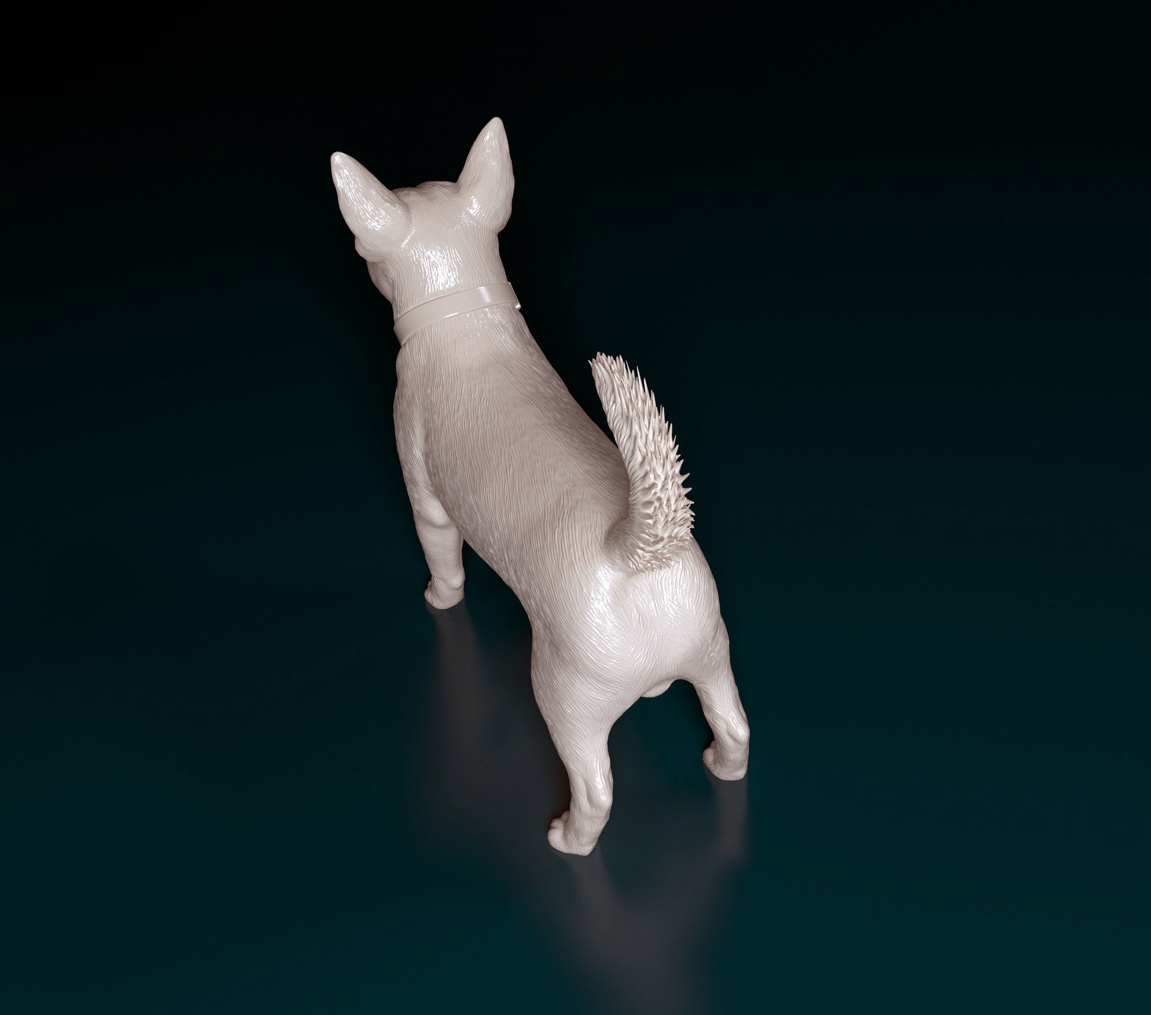 Lancashire Heeler 3D print model_4