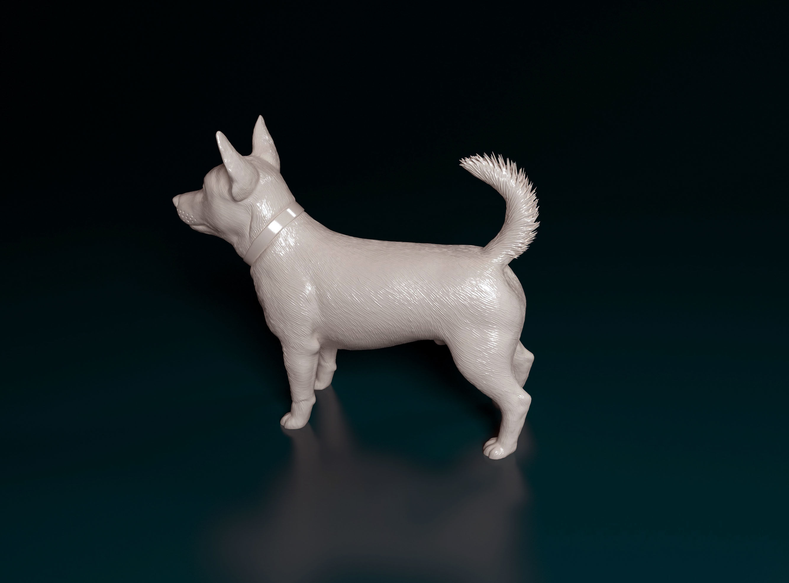Lancashire Heeler 3D print model_5