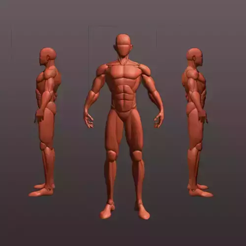 Stylized Base Mesh 3d model 