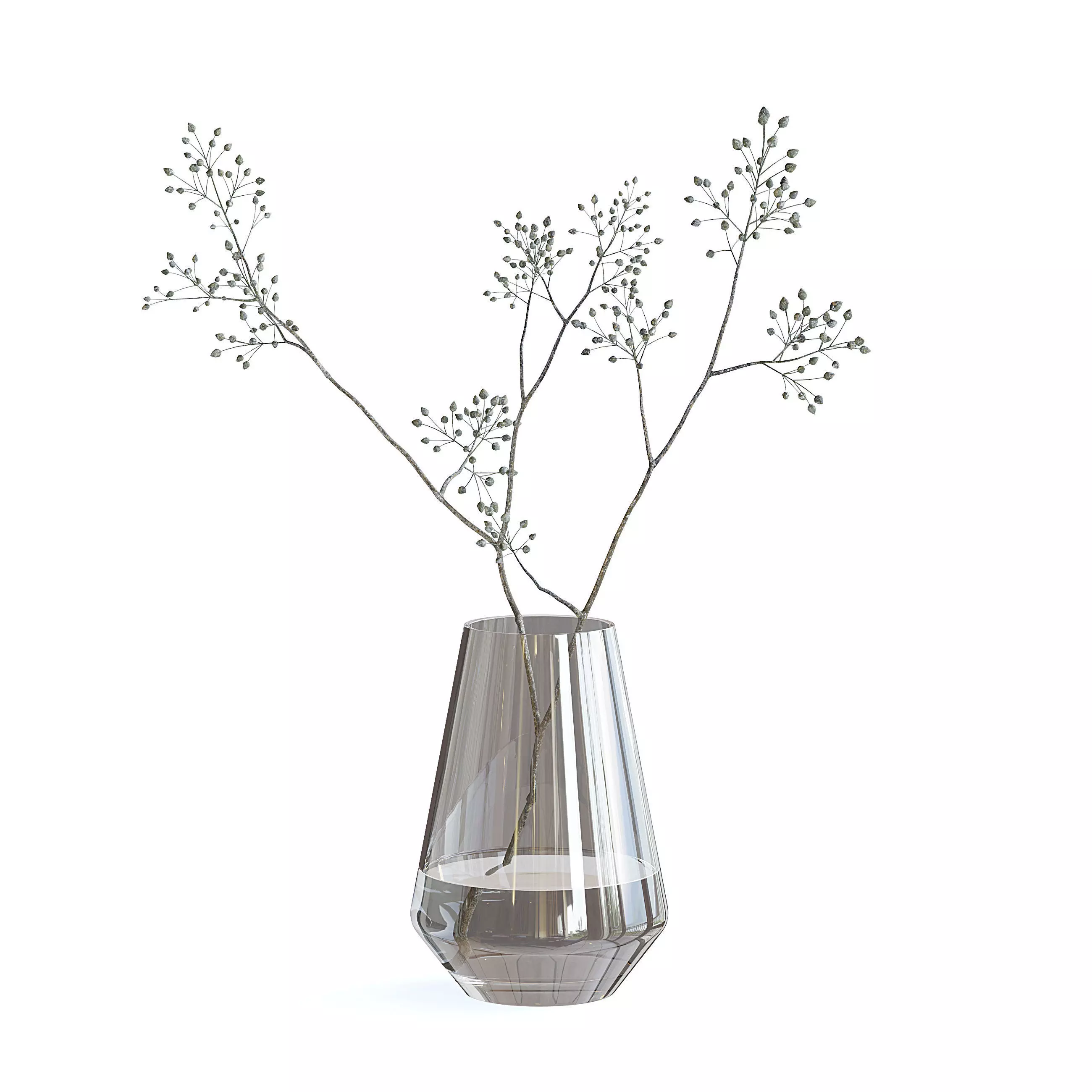 Dry Plant 3D model_0