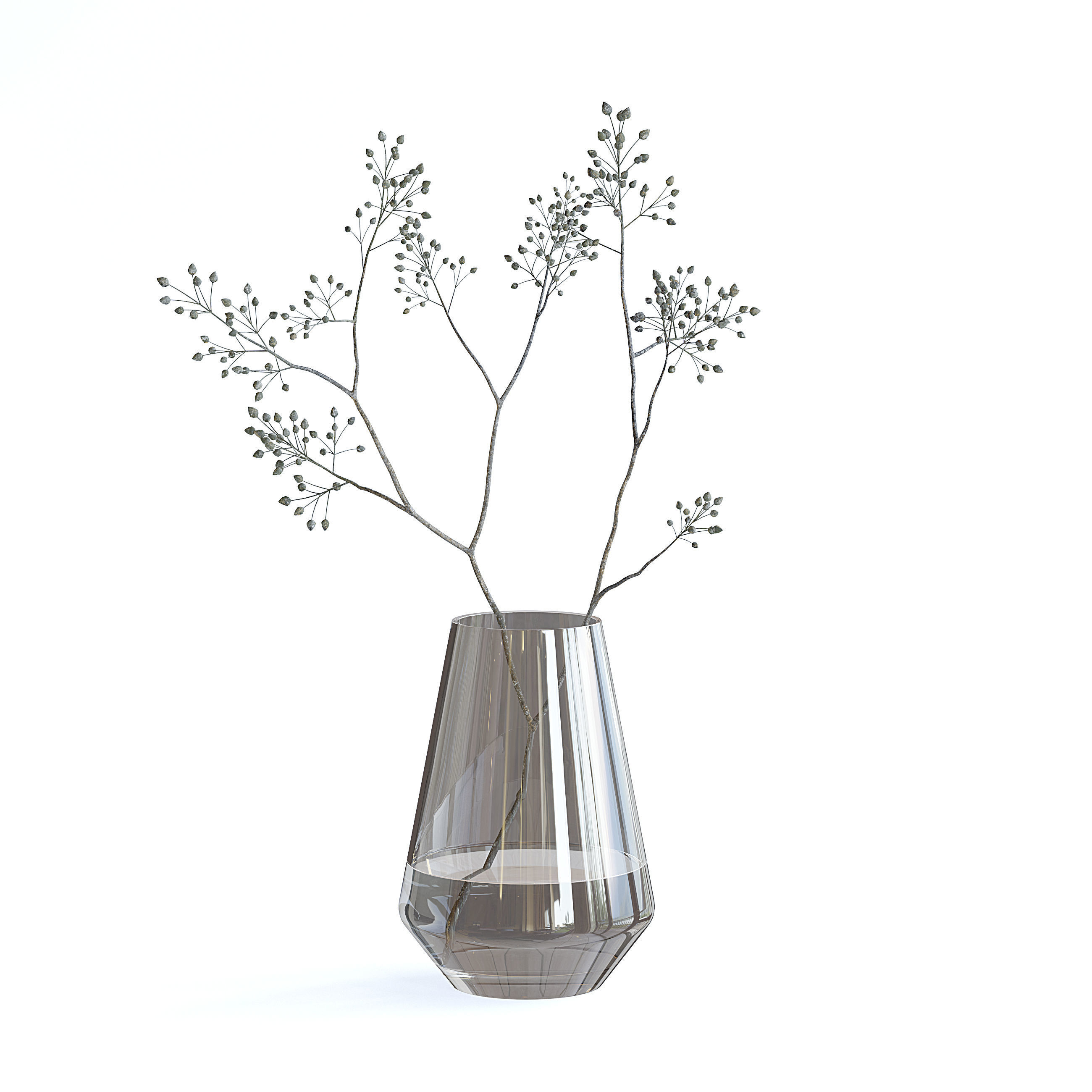 Dry Plant 3D model_1