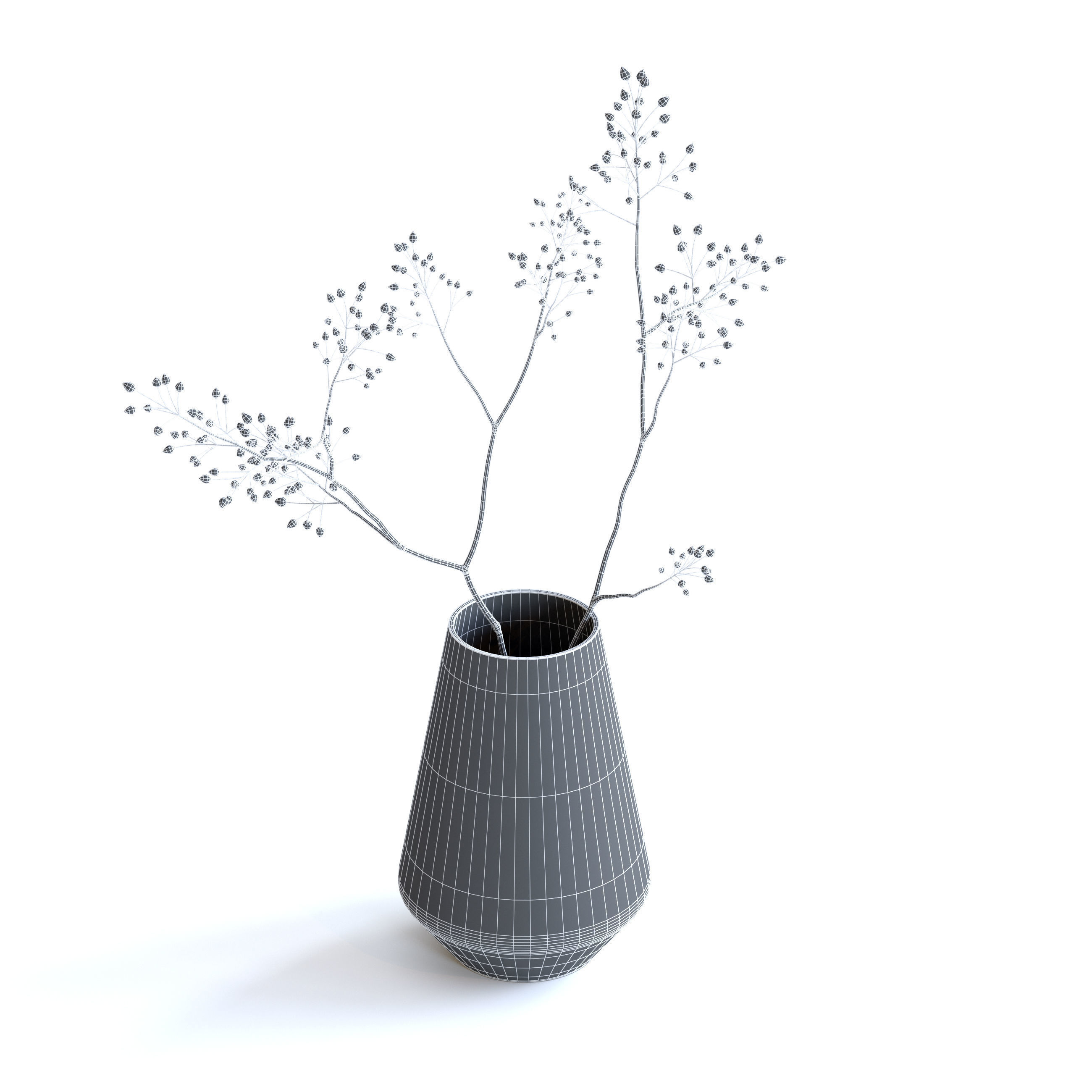 Dry Plant 3D model_9