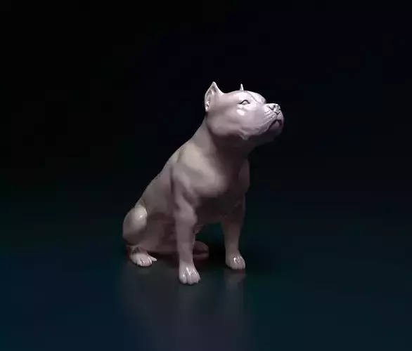 Pitbull bulldog 3D print model