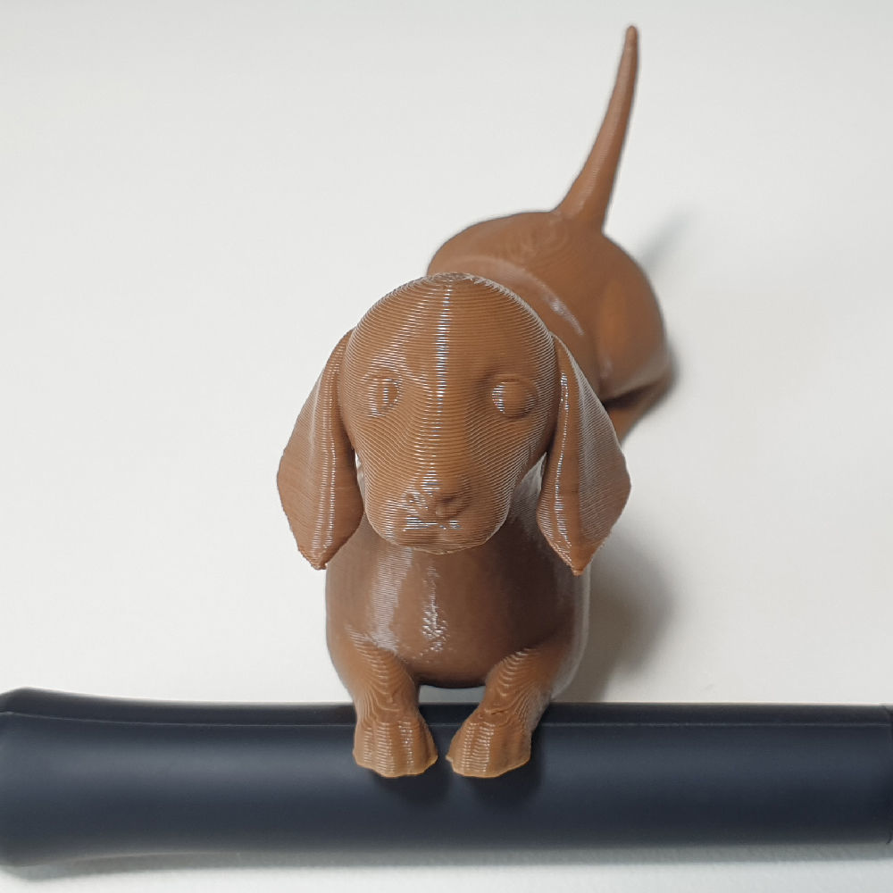 flexi dachshund dog 3D print model_1