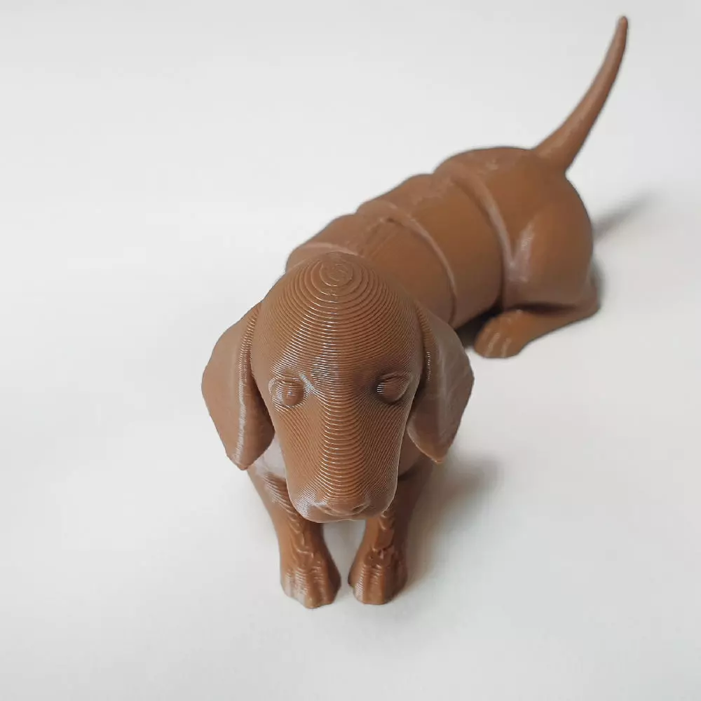 flexi dachshund dog 3D print model_0