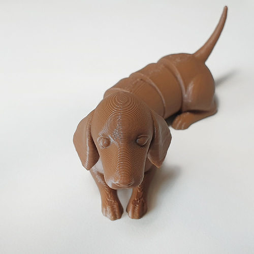 flexi dachshund dog 3D print model
