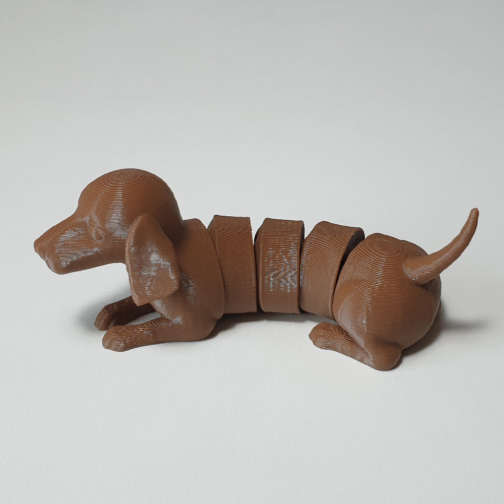 flexi dachshund dog 3D print model_4