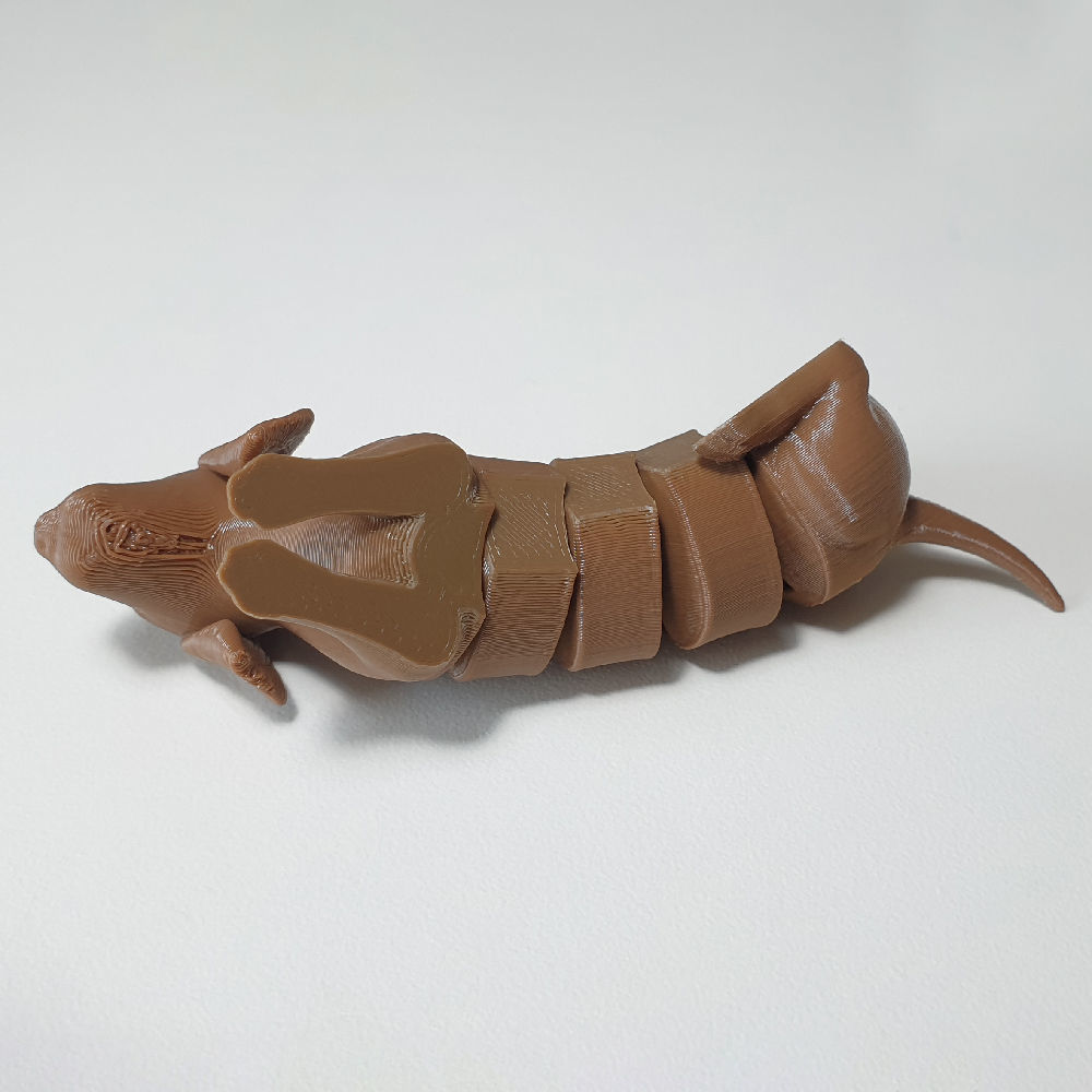flexi dachshund dog 3D print model_6