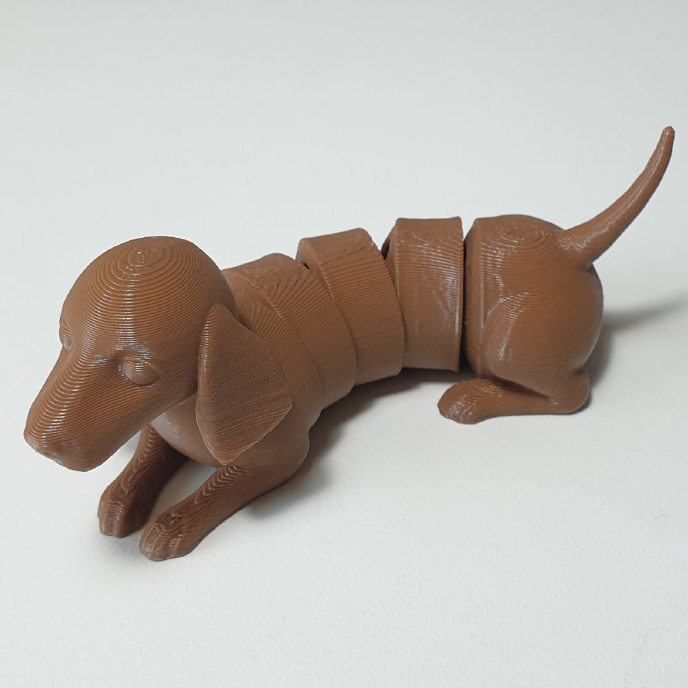 flexi dachshund dog 3D print model_3