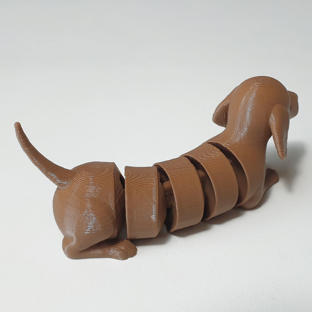 flexi dachshund dog 3D print model_5