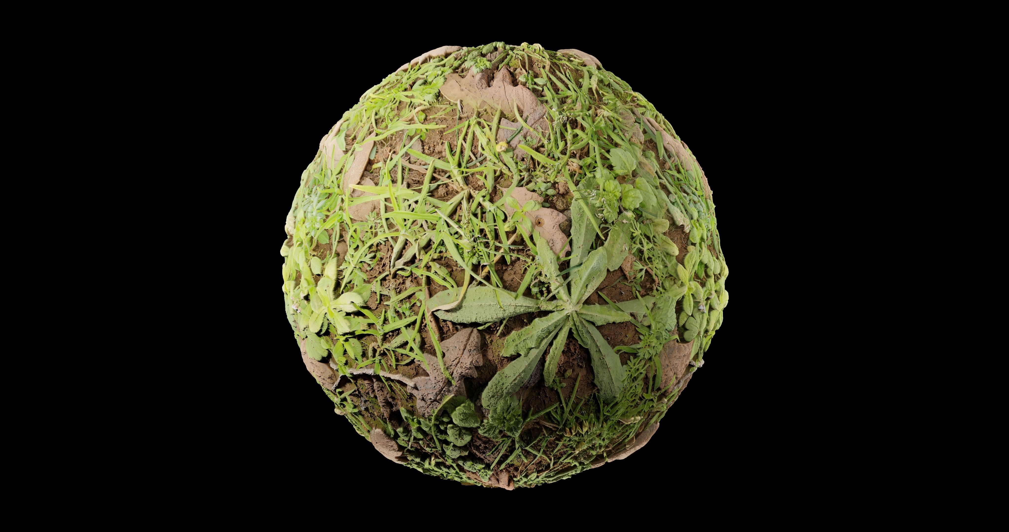 Low Vegetation 3 Texture_1