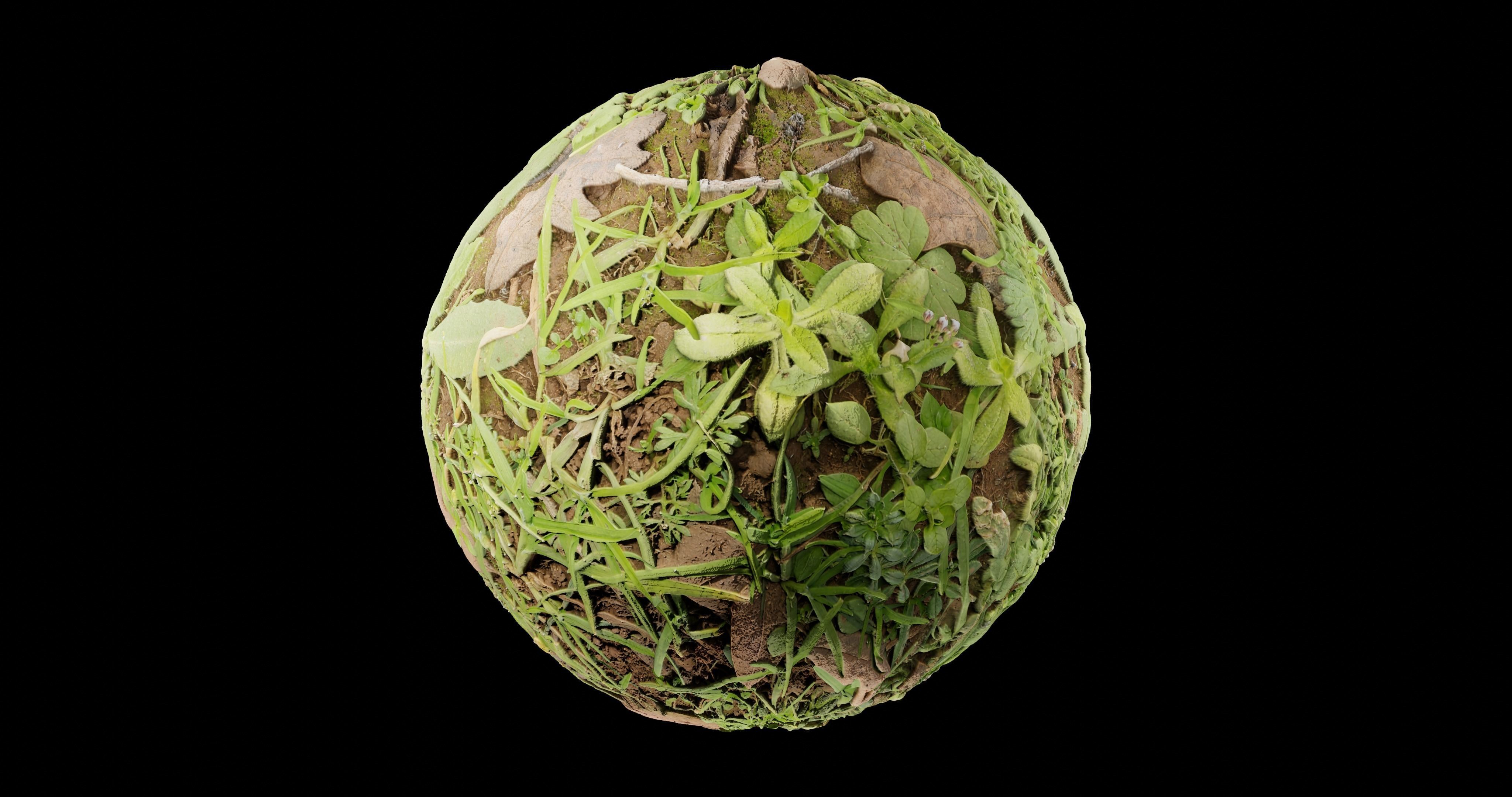 Low Vegetation 3 Texture_2