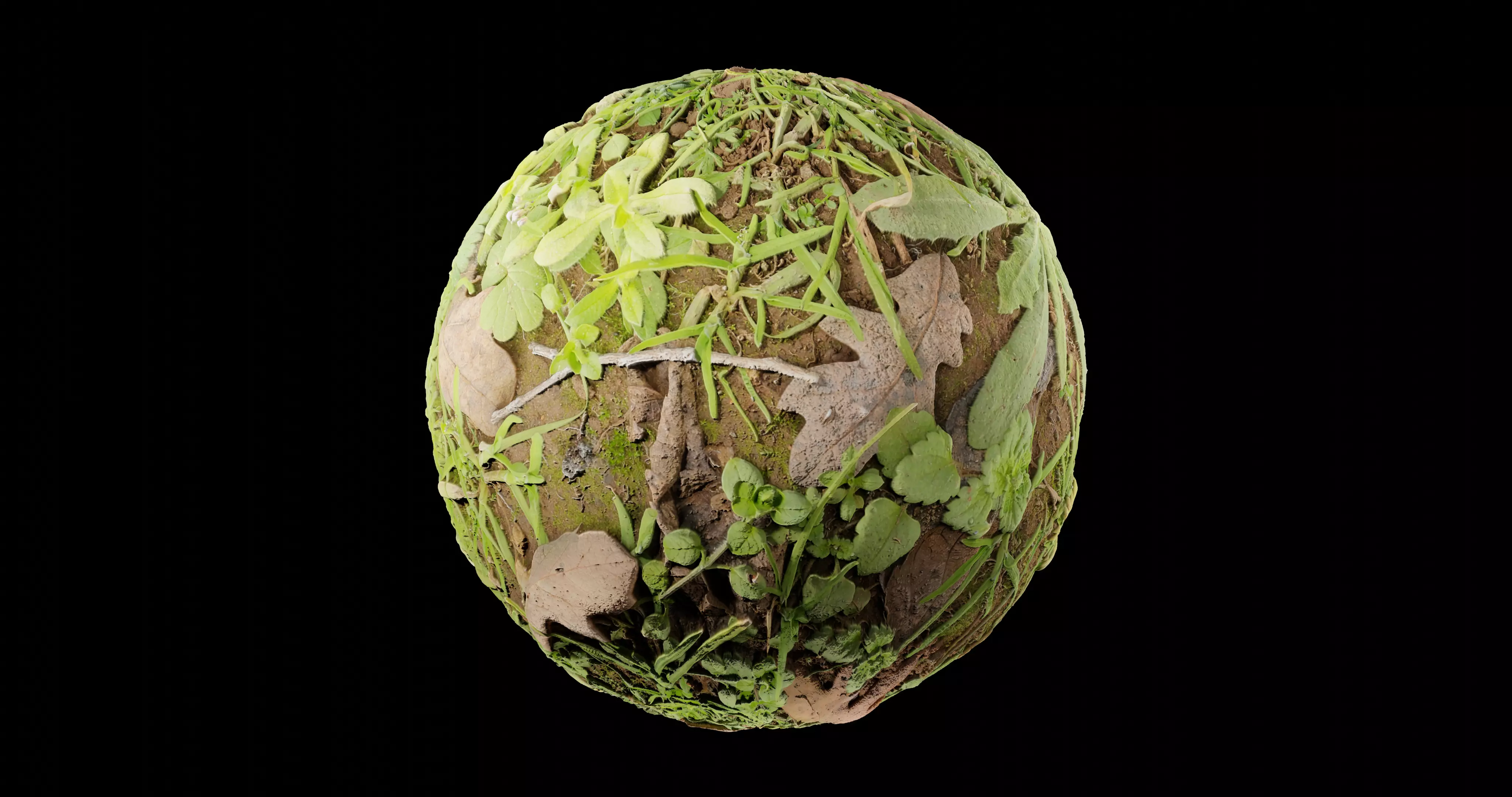 Low Vegetation 3 Texture_0