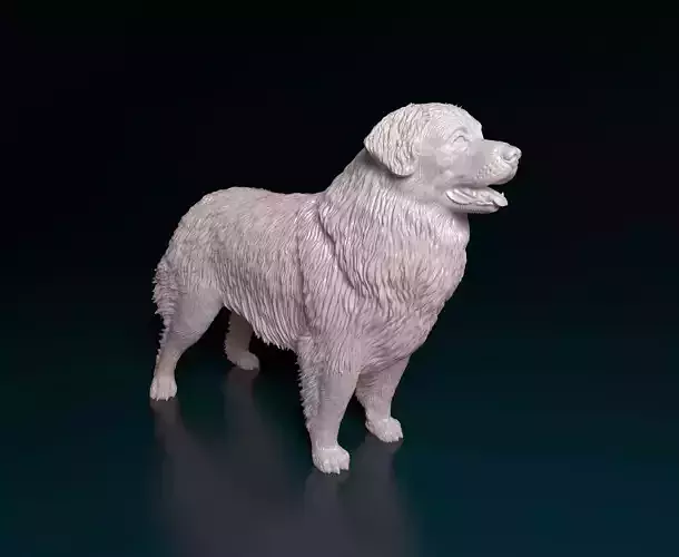 Leonberger dog 3D print model