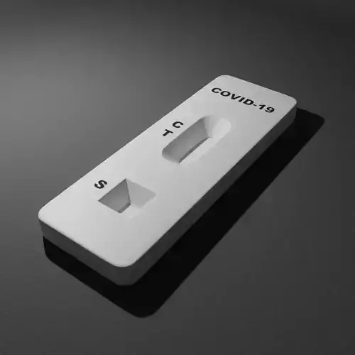 Covid-19 Rapid Test Low-poly 3D model