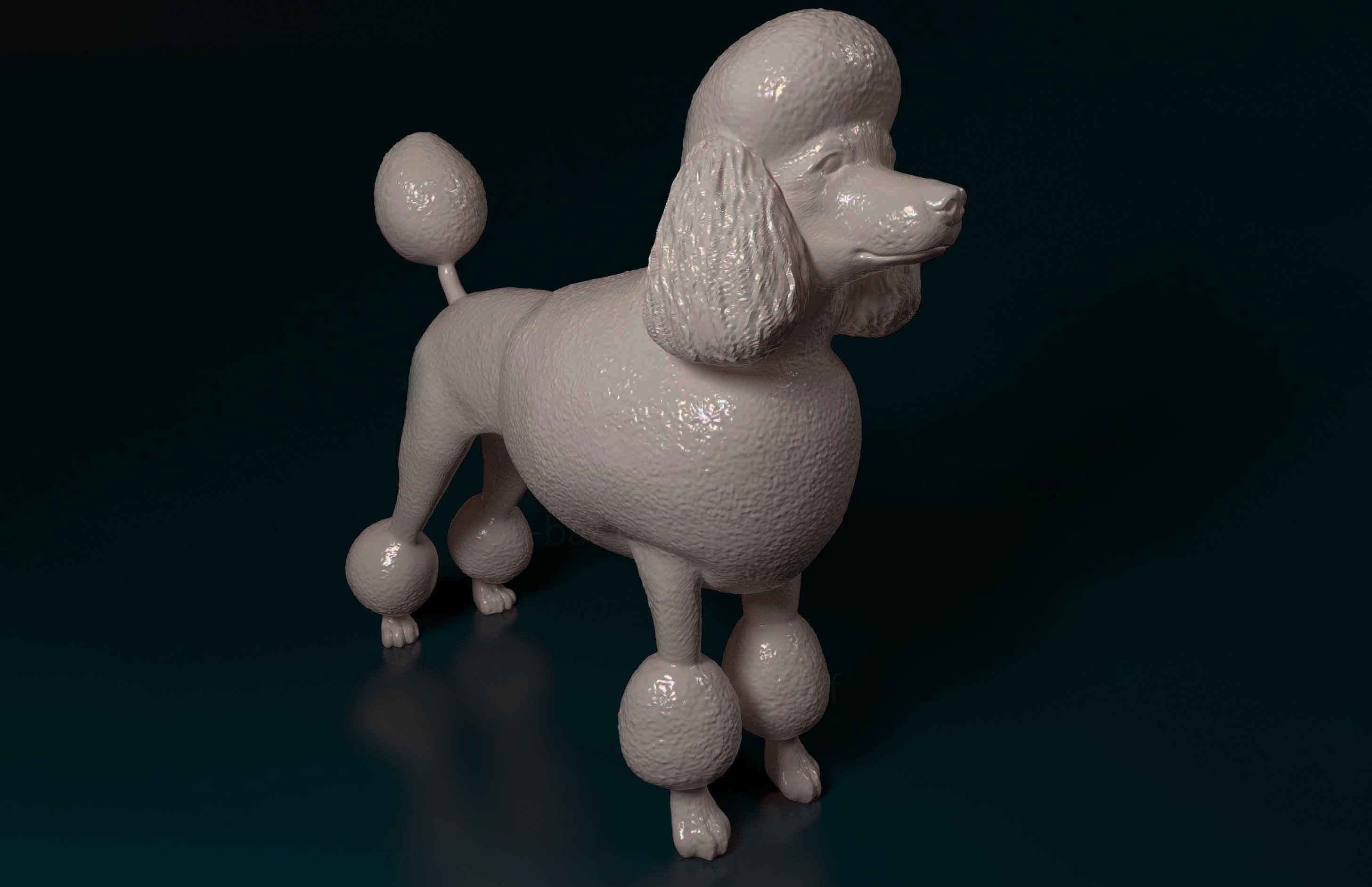 Leon-haired poodle 3D print model_2