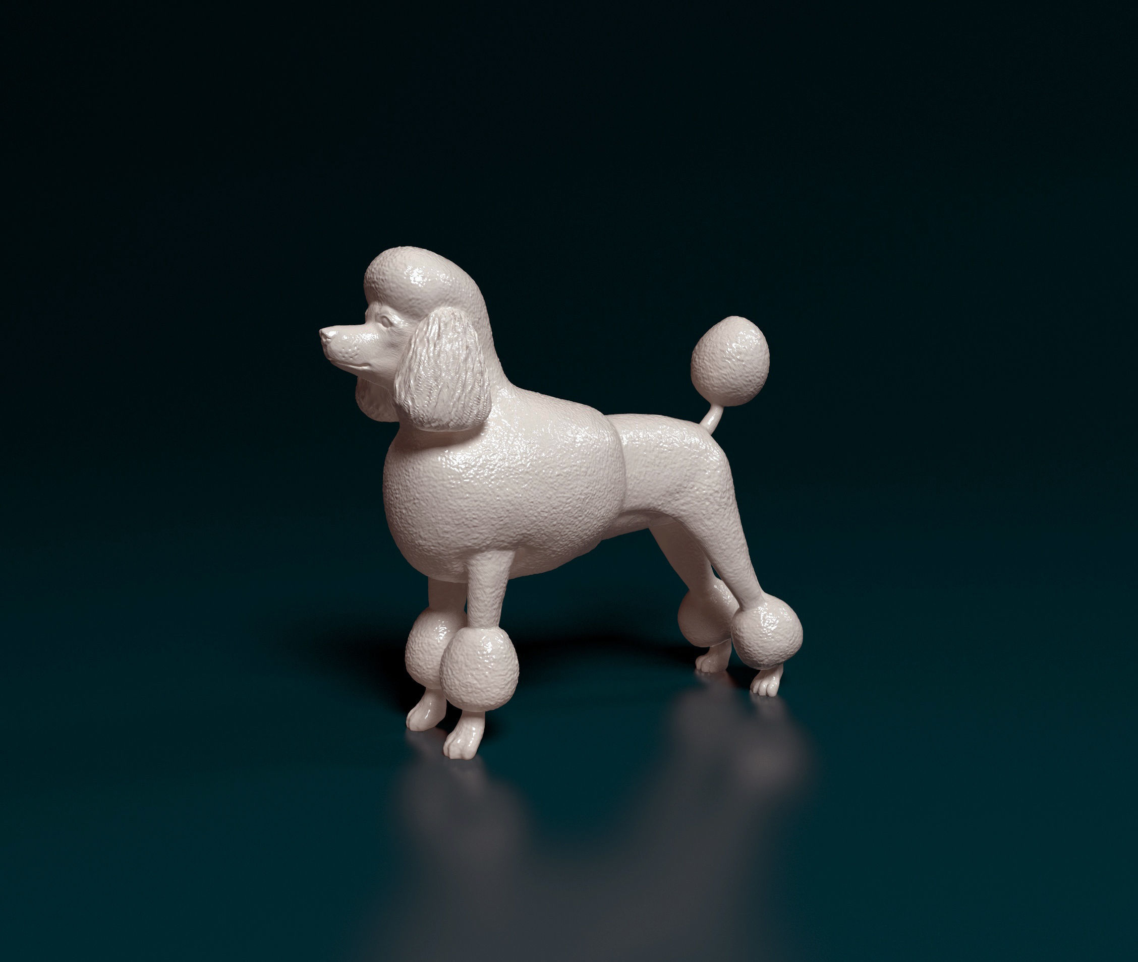 Leon-haired poodle 3D print model_4