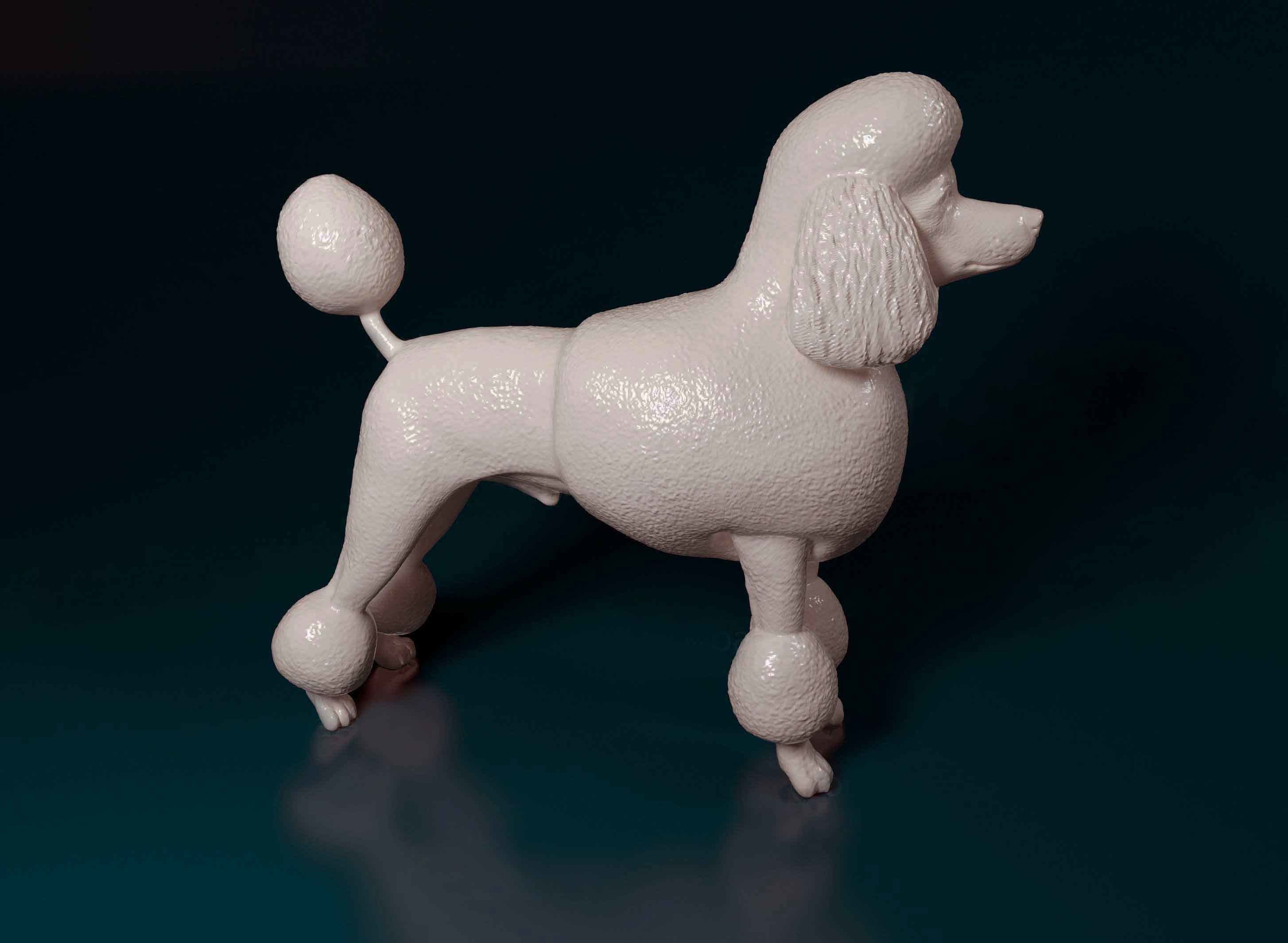 Leon-haired poodle 3D print model_1