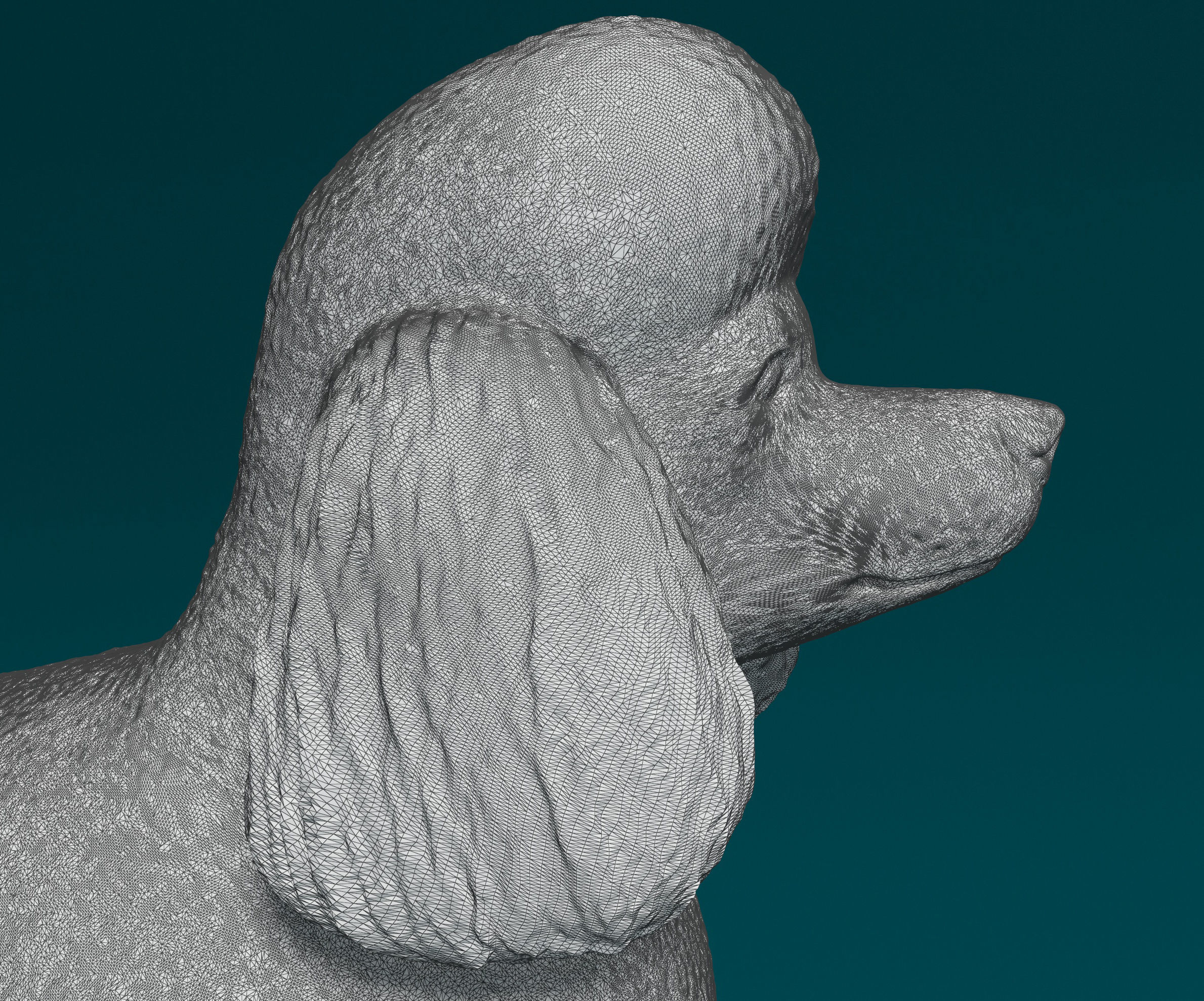 Leon-haired poodle 3D print model_5