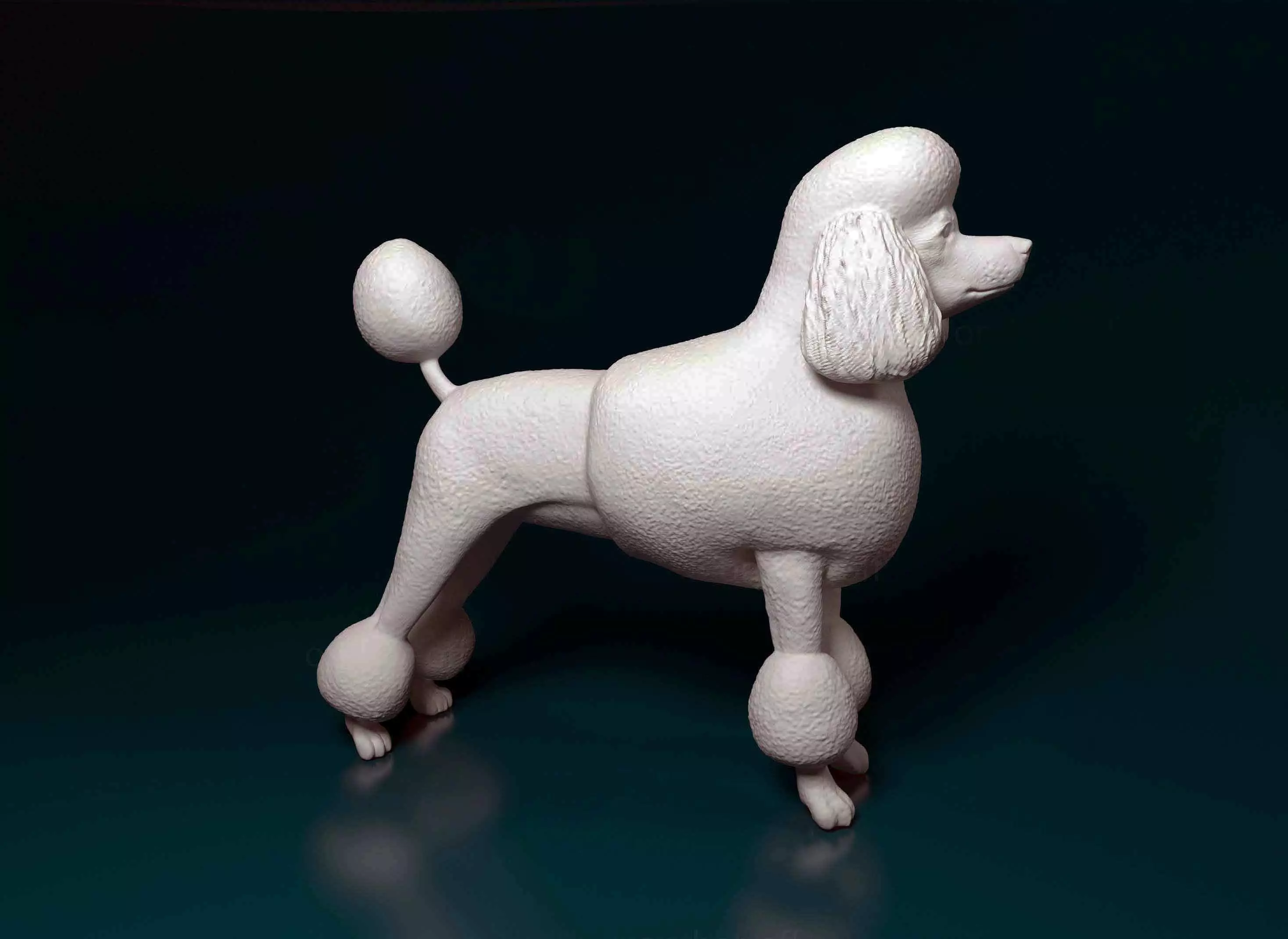 Leon-haired poodle 3D print model_0