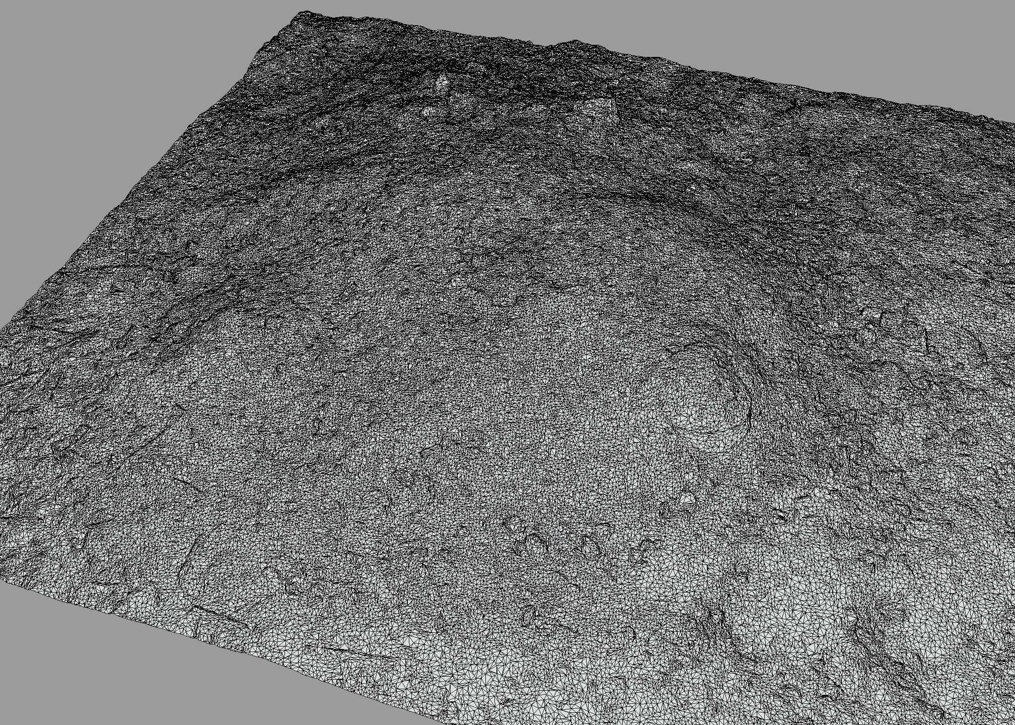 Ash pile burnt tree ground 3D model_4