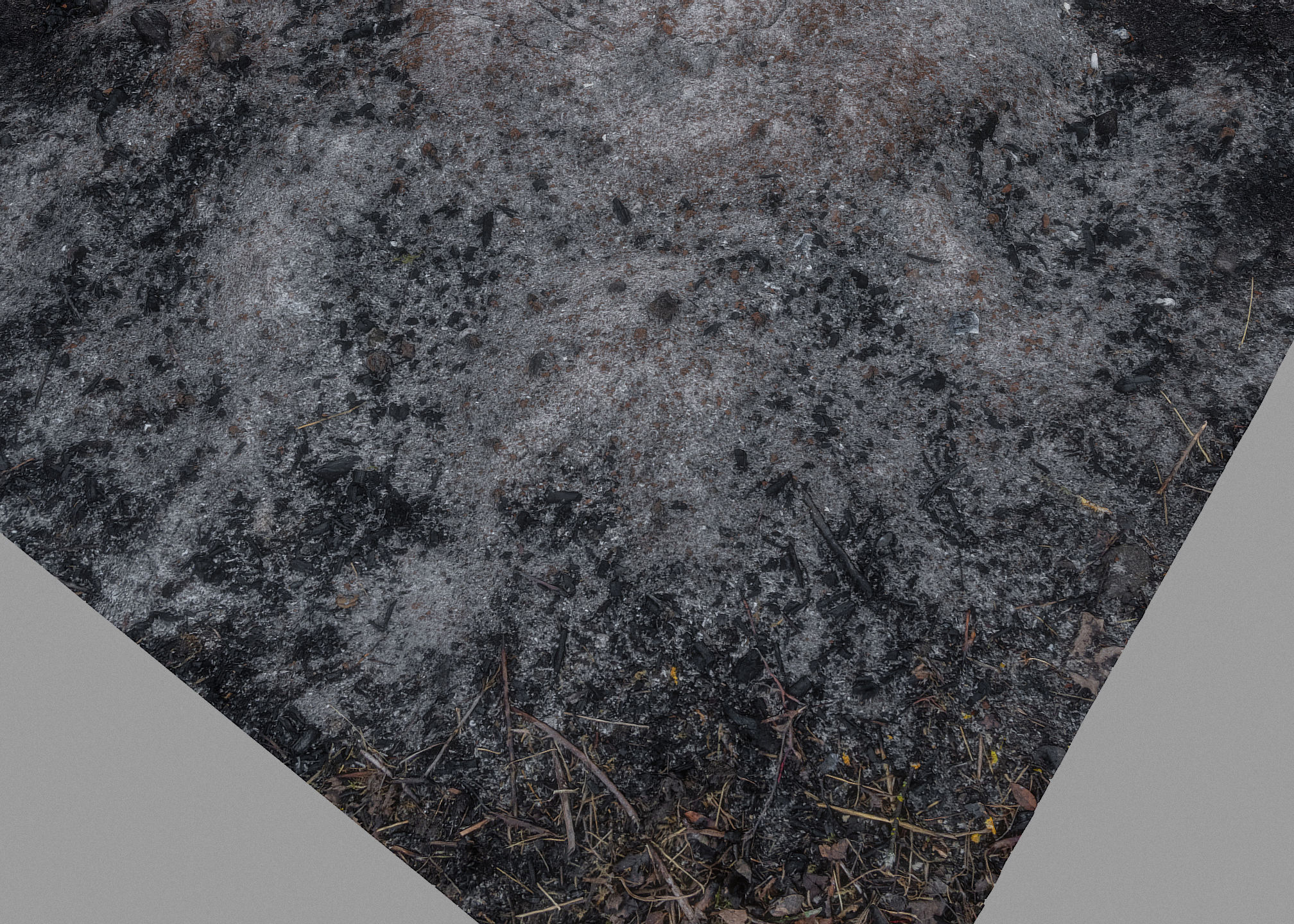 Ash pile burnt tree ground 3D model_2
