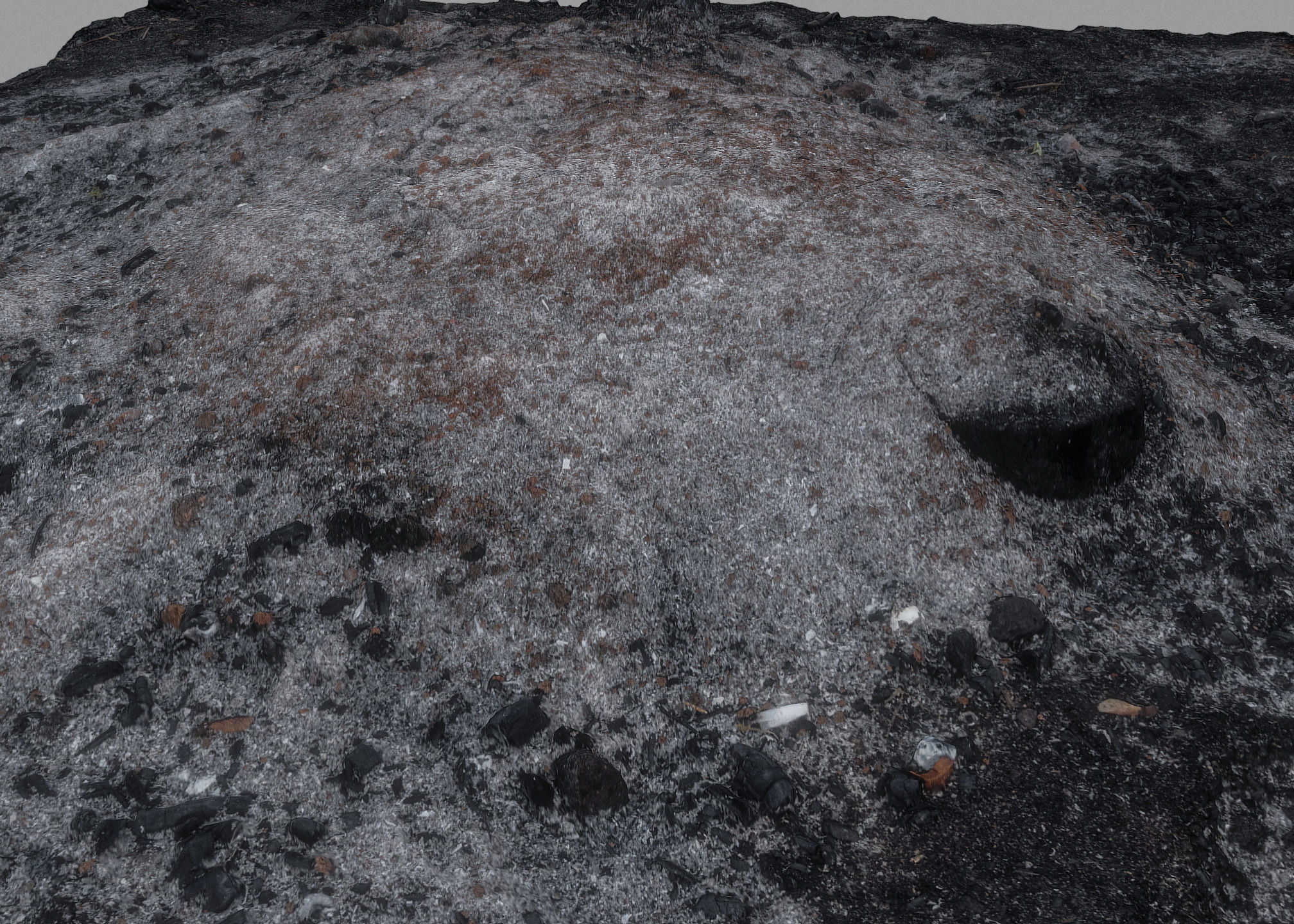 Ash pile burnt tree ground 3D model_5