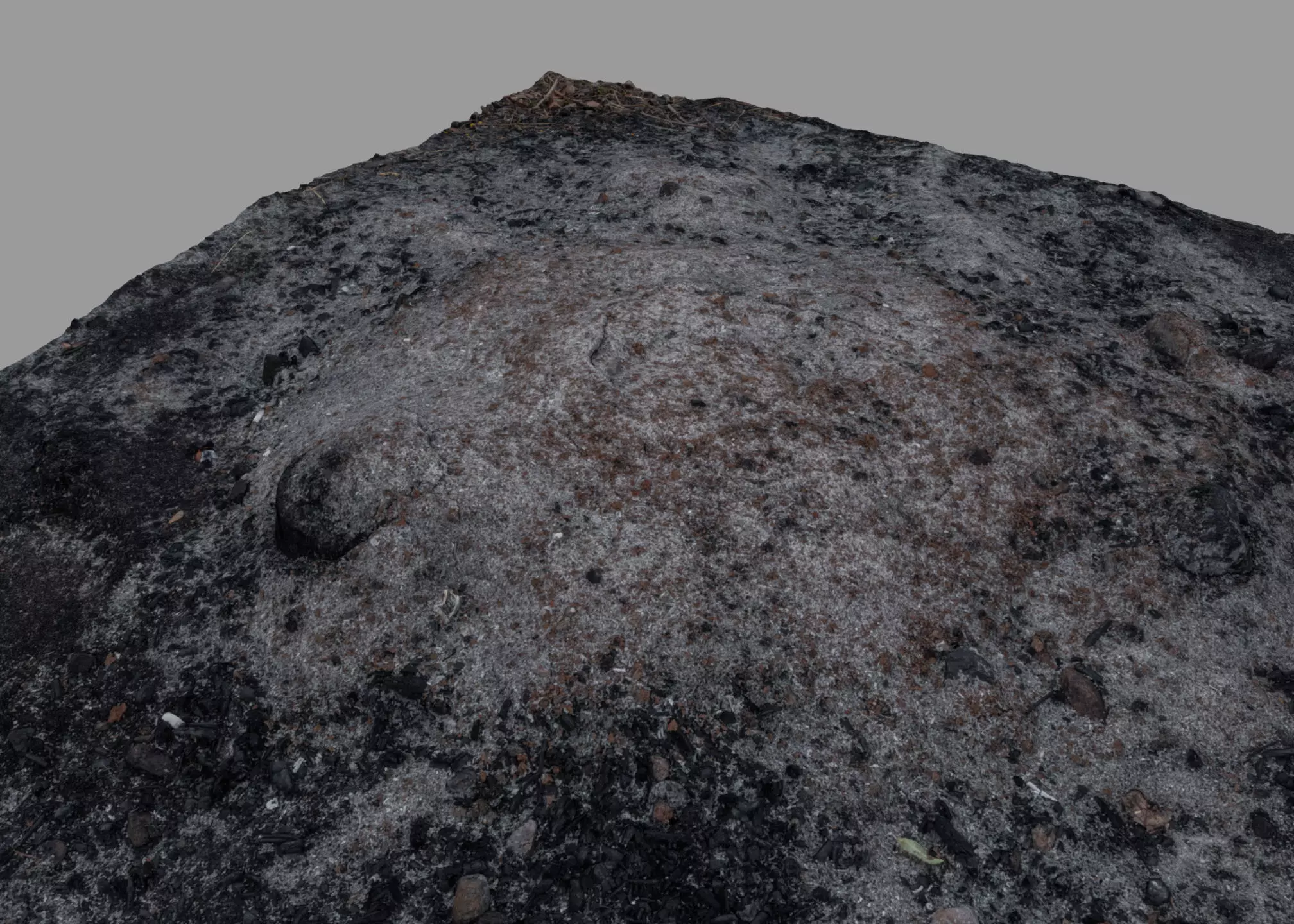 Ash pile burnt tree ground 3D model_0
