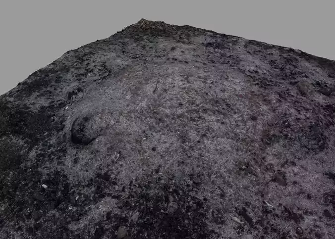 Ash pile burnt tree ground 3D model