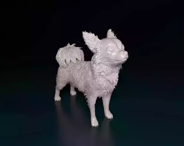Long-haired Chihuahua 3D print model
