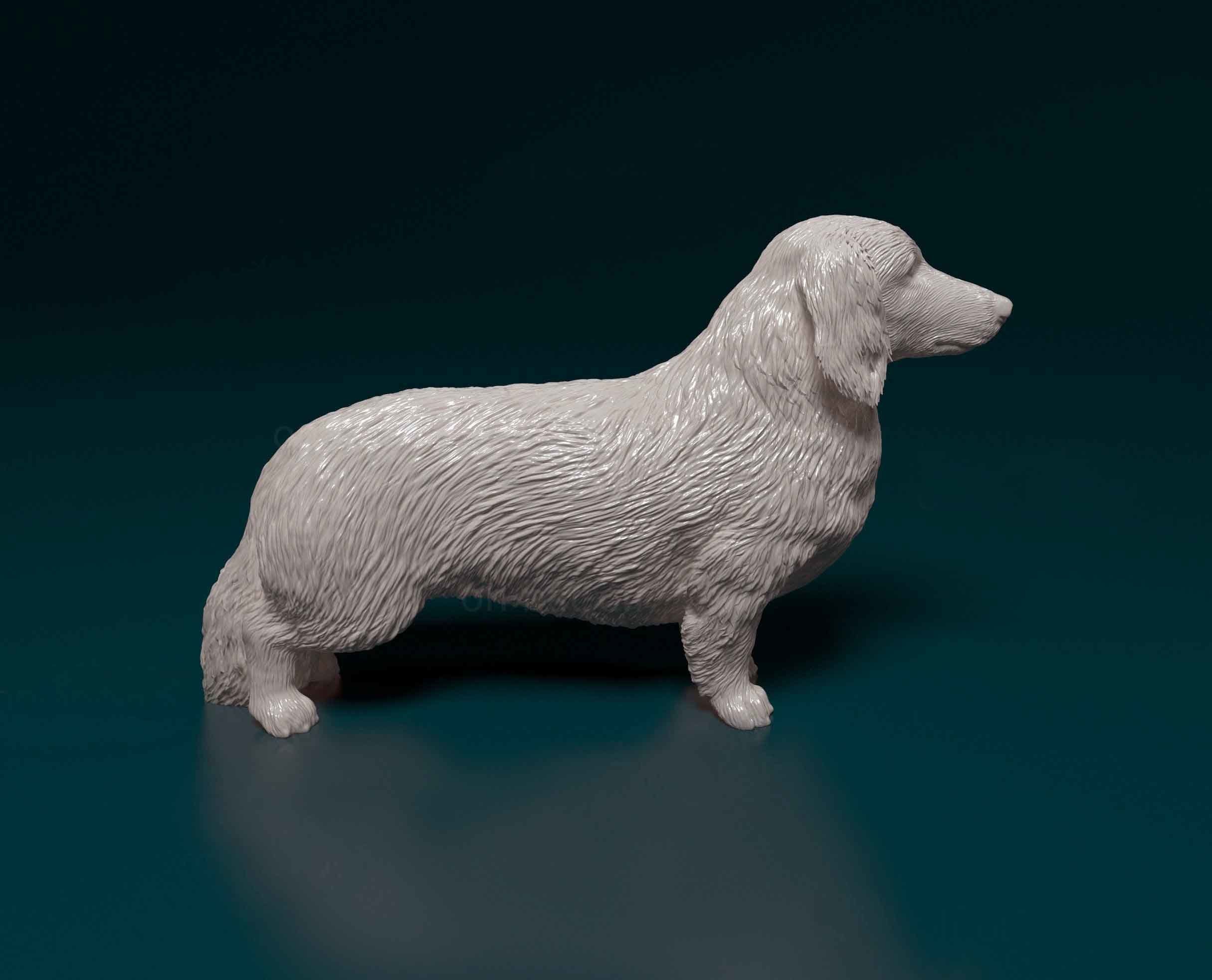 Long-haired Dachshund 3D print model_1