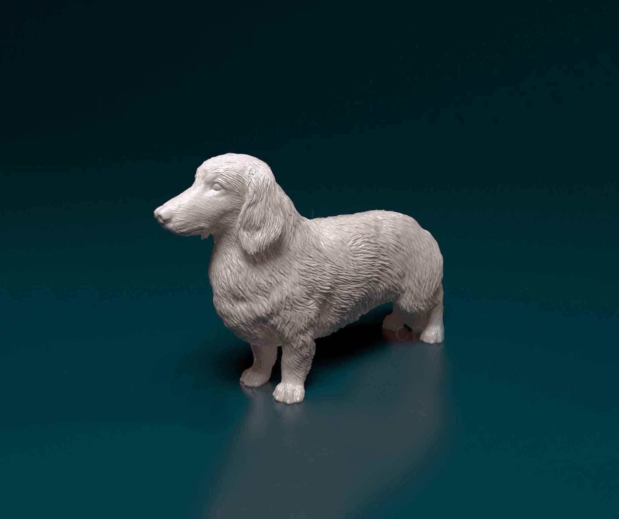 Long-haired Dachshund 3D print model_3