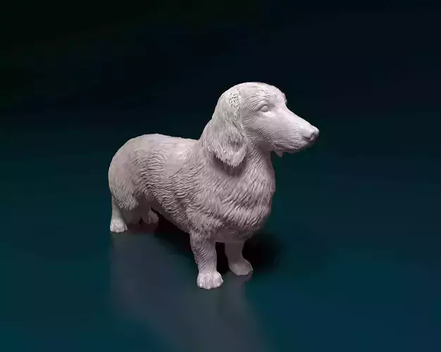 Long-haired Dachshund 3D print model