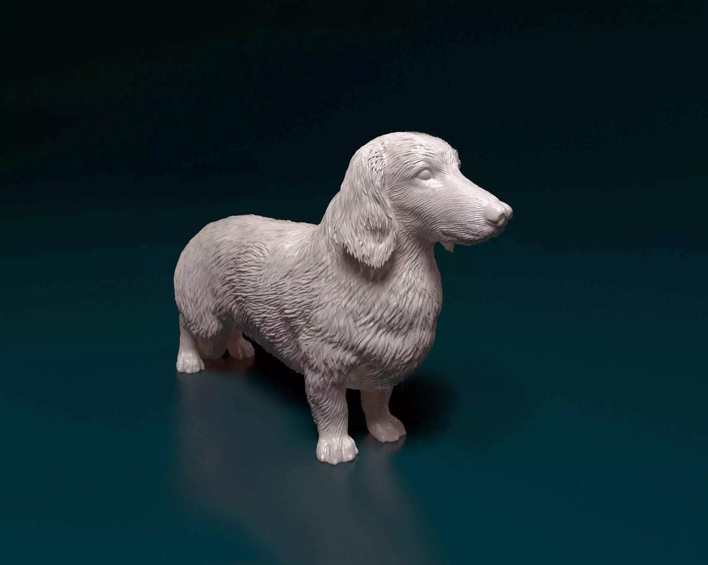 Long-haired Dachshund 3D print model_0