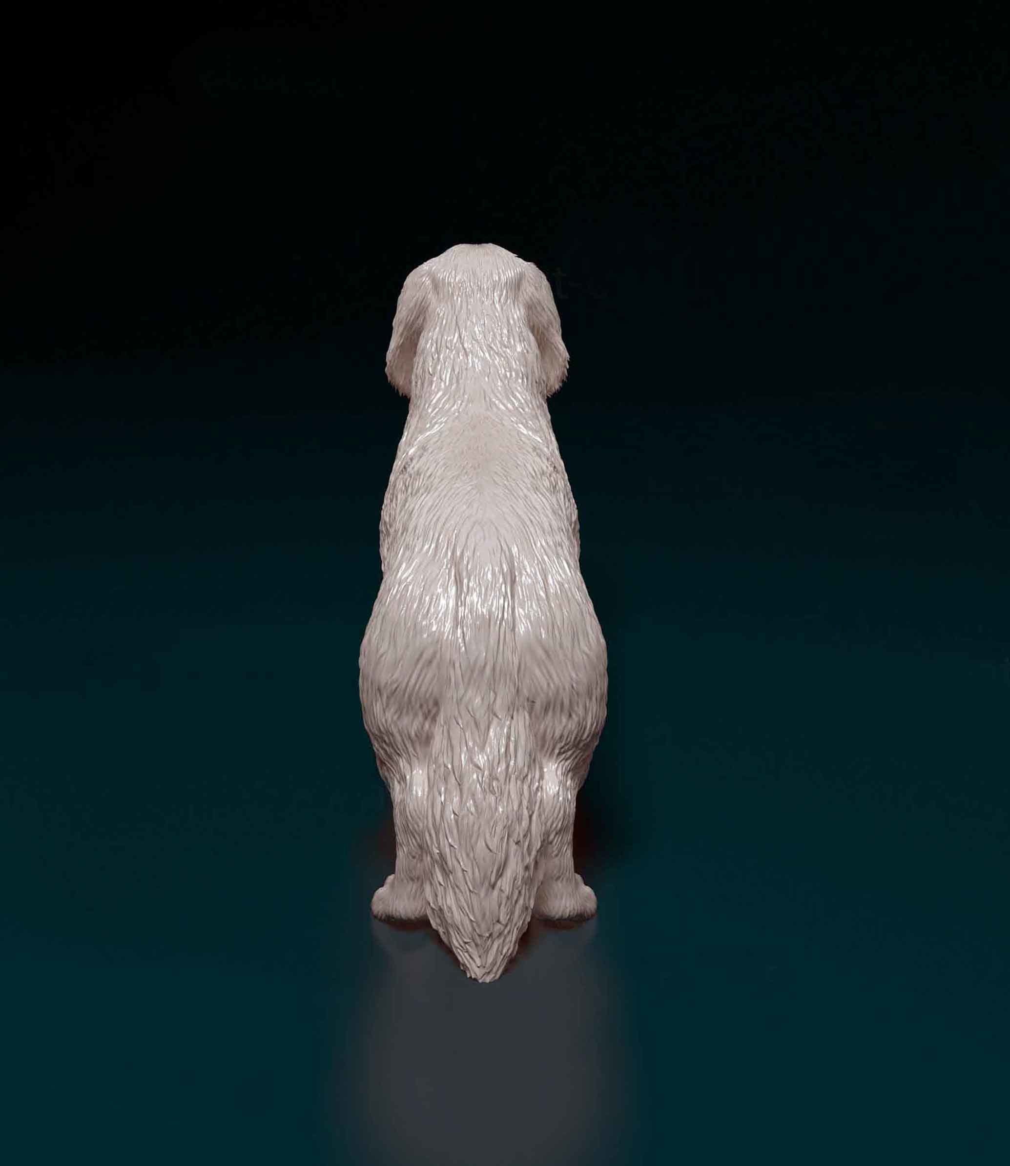 Long-haired Dachshund 3D print model_2