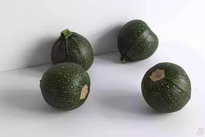Zucchini 3D model