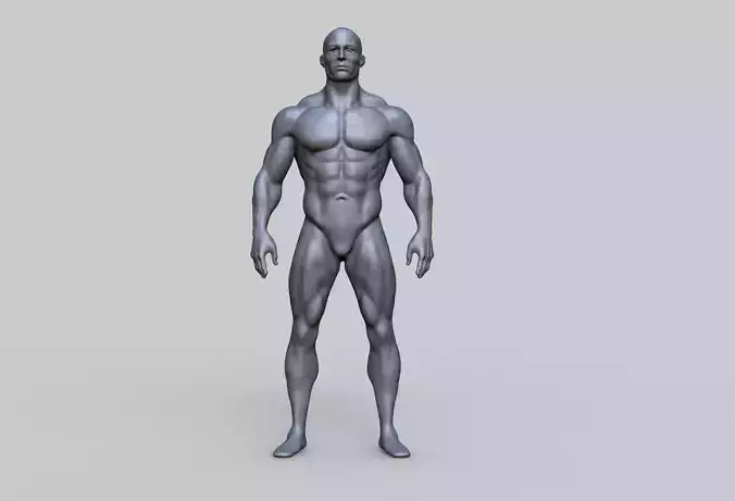 Human Anatomy Character 3D model Low-poly 3D model