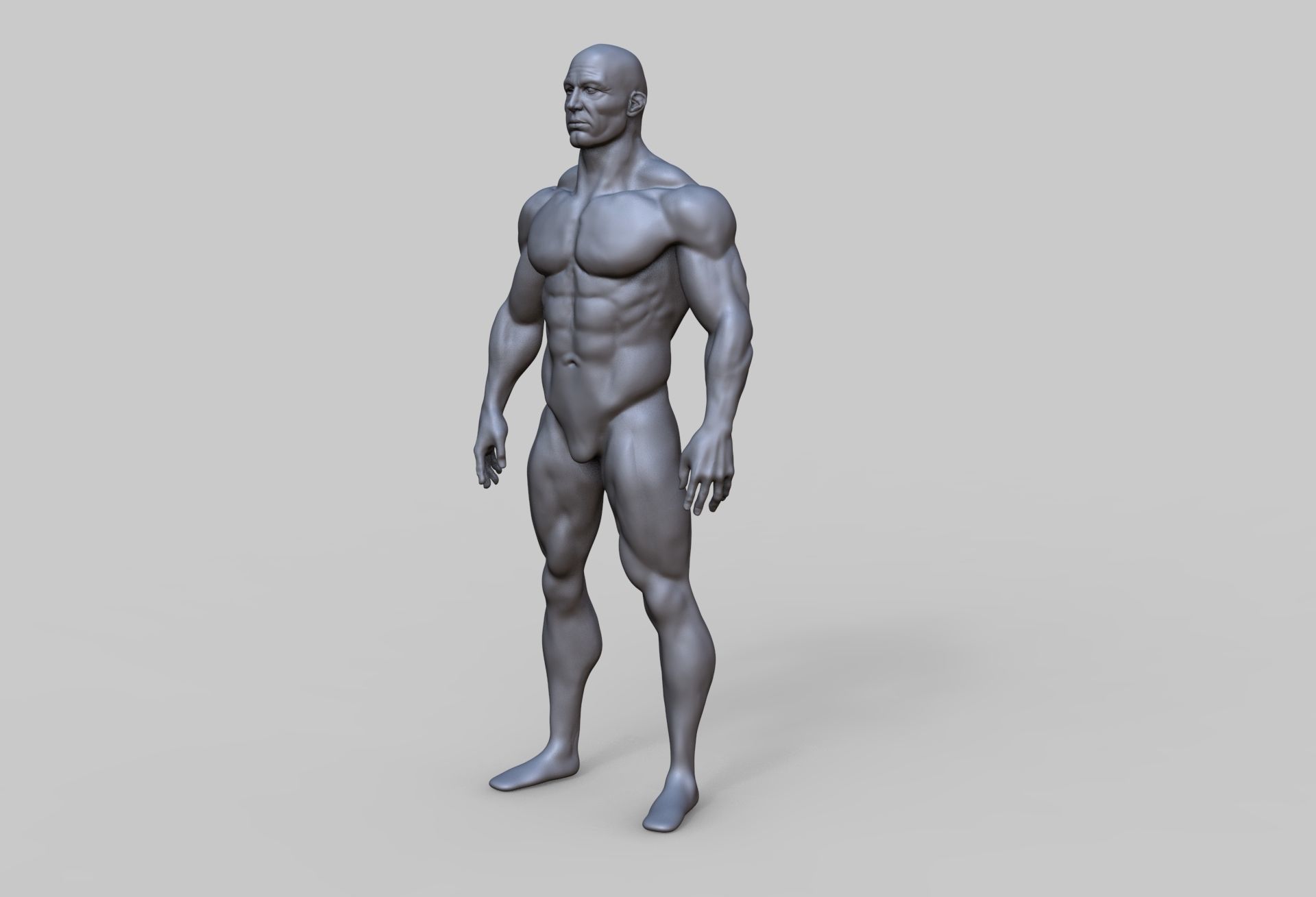 Human Anatomy Character 3D model Low-poly 3D model_4