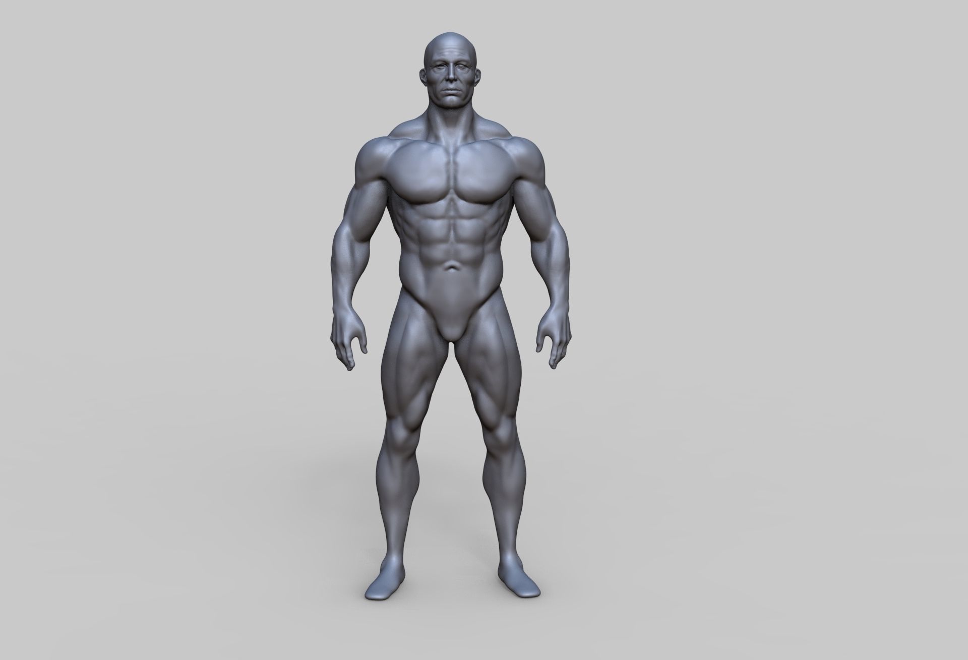Human Anatomy Character 3D model Low-poly 3D model_5