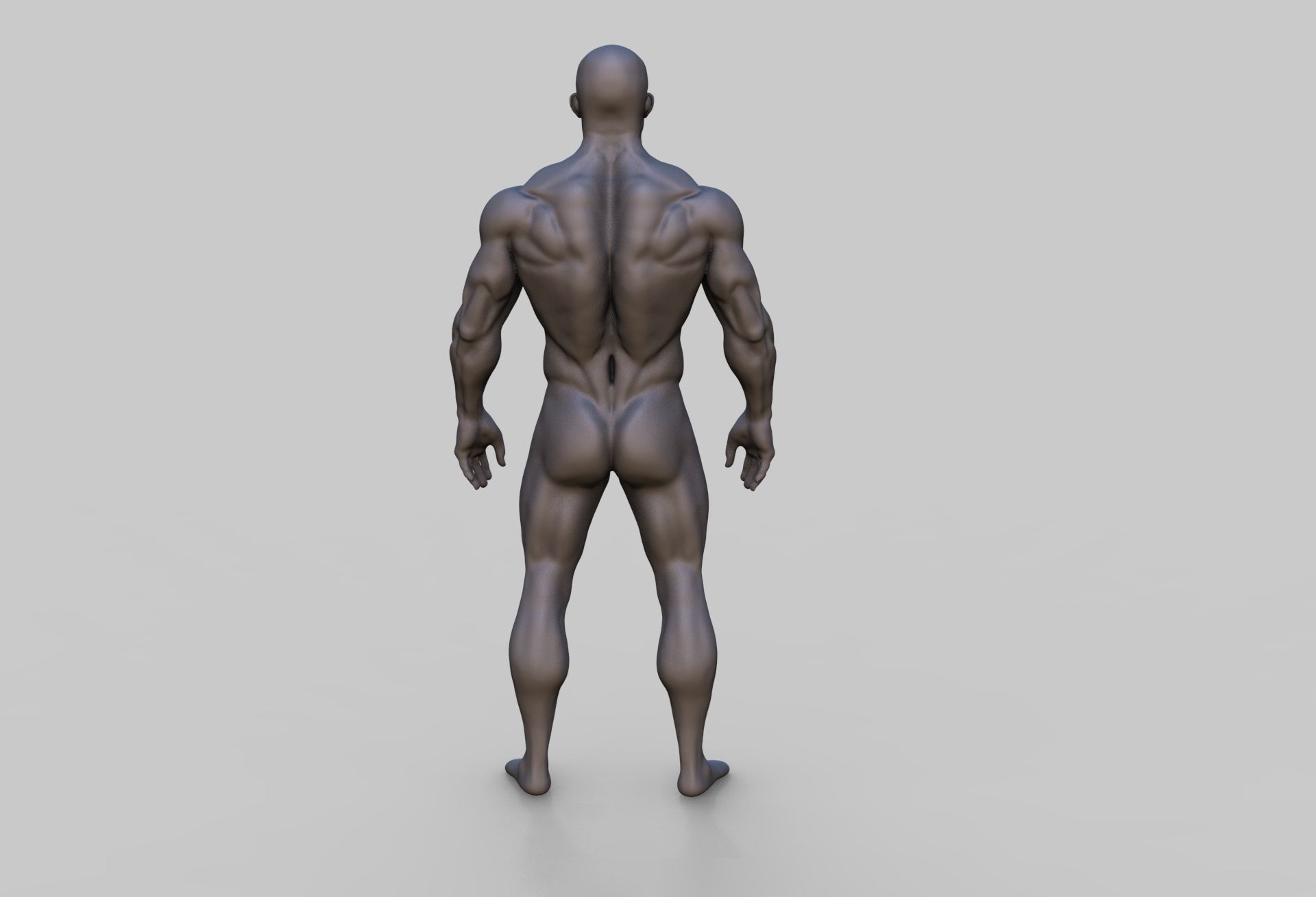 Human Anatomy Character 3D model Low-poly 3D model_3